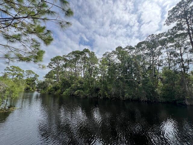 Another wonderful property in Leisure Lakes on the canal! .26 acre, very serene area is perfect to build your home or get-a-way and have access to all your favorite water sports right at your back door! Direct access to Lake Carrie and access to Lake  June. Call me for more information on this amazing property!