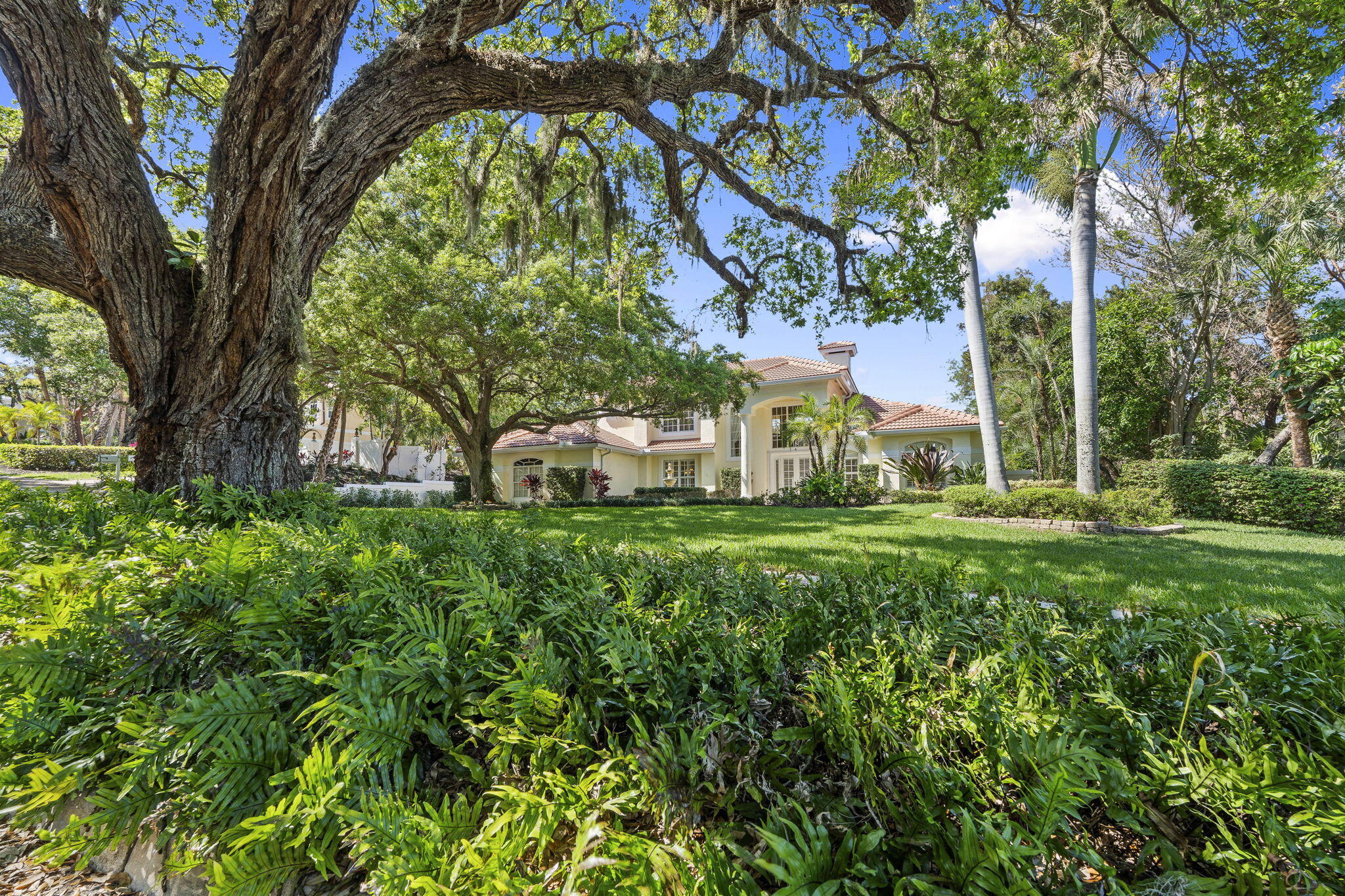 CASTLE HILL - Residential