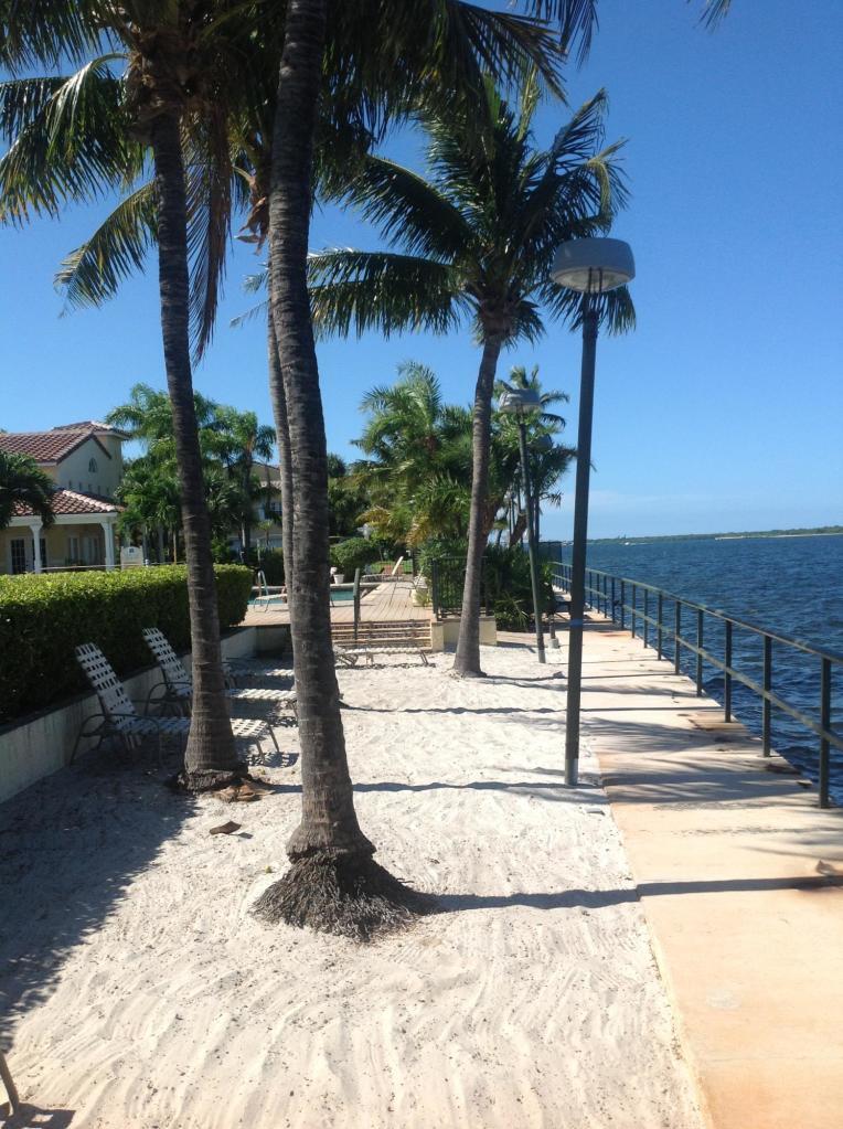 BAY REACH CONDO - Residential Lease