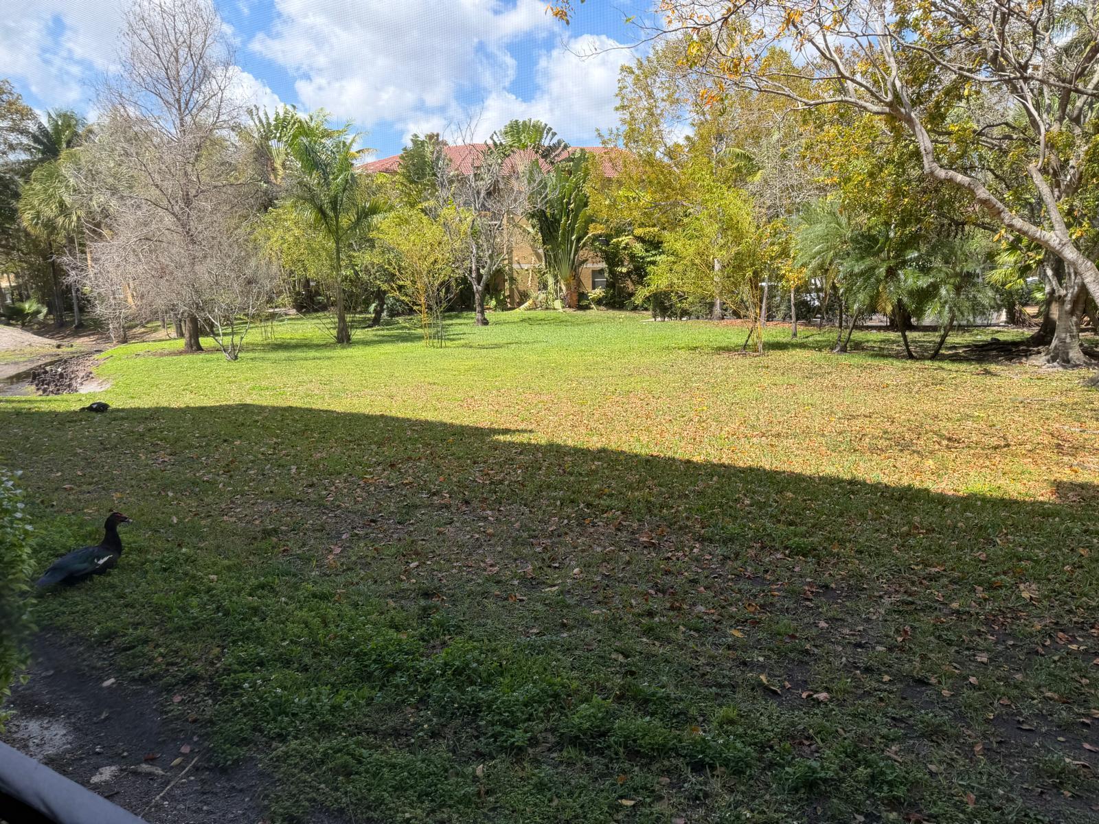 BELASERA AT PINE ISLAND CONDO - Residential