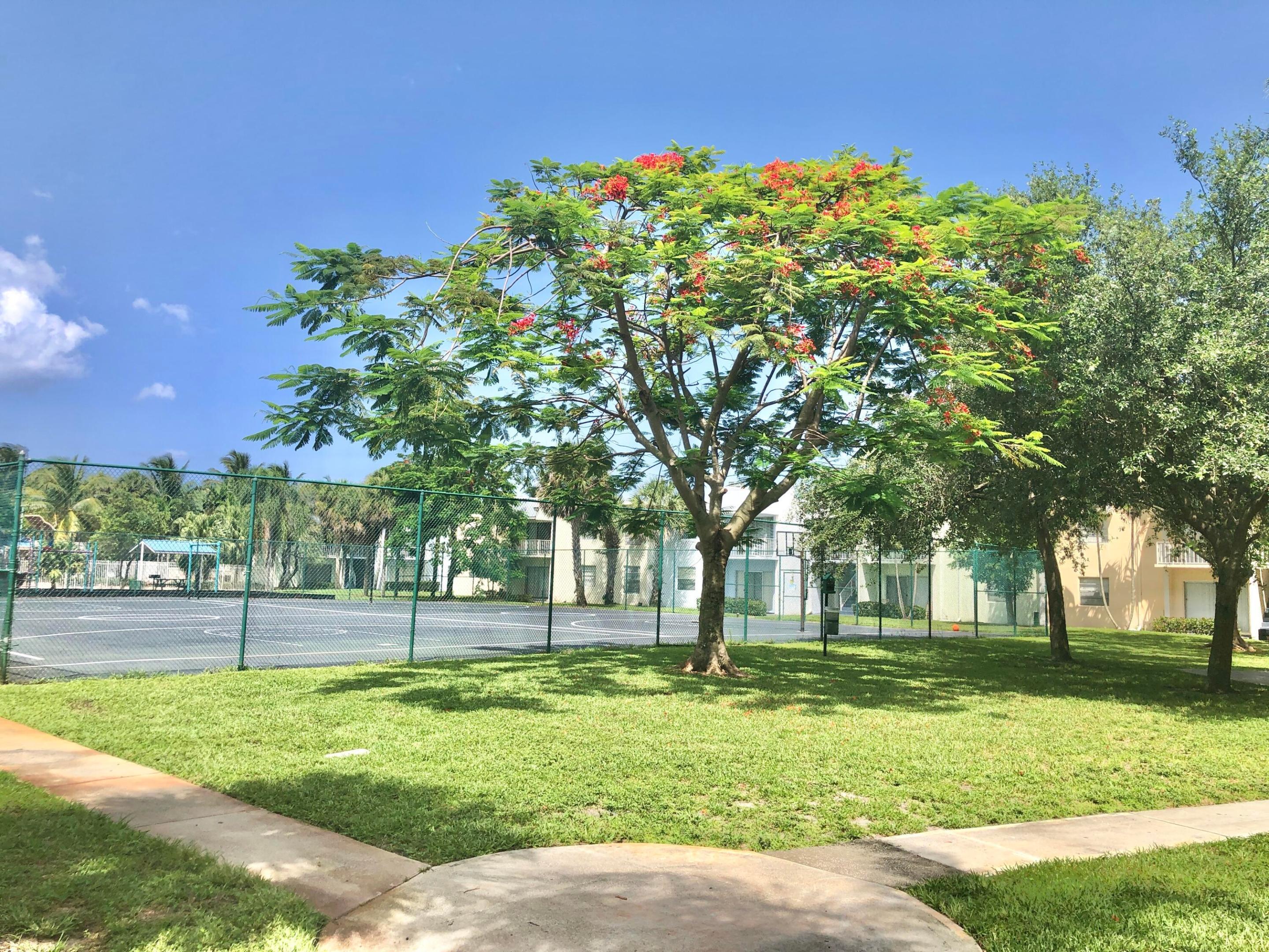 CLEAR LAKE PALMS CONDO - Residential