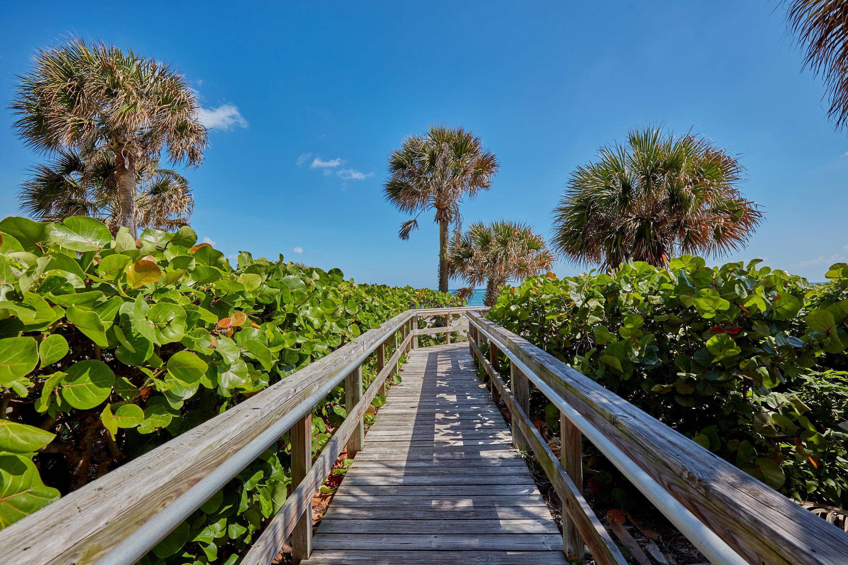 OCEAN TRAIL CONDO III - Residential