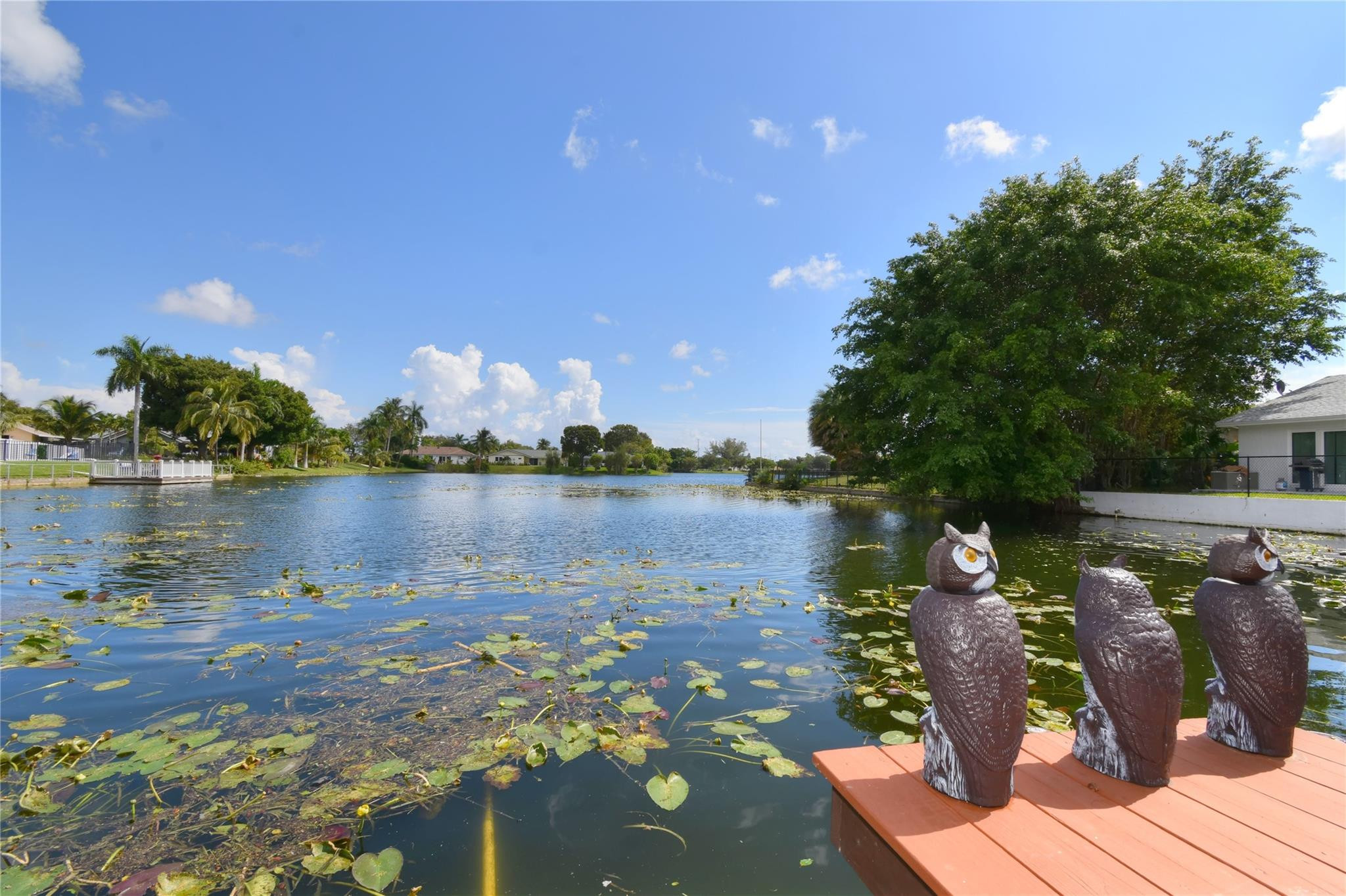 ROYAL PALM LAKE ESTATES - Residential