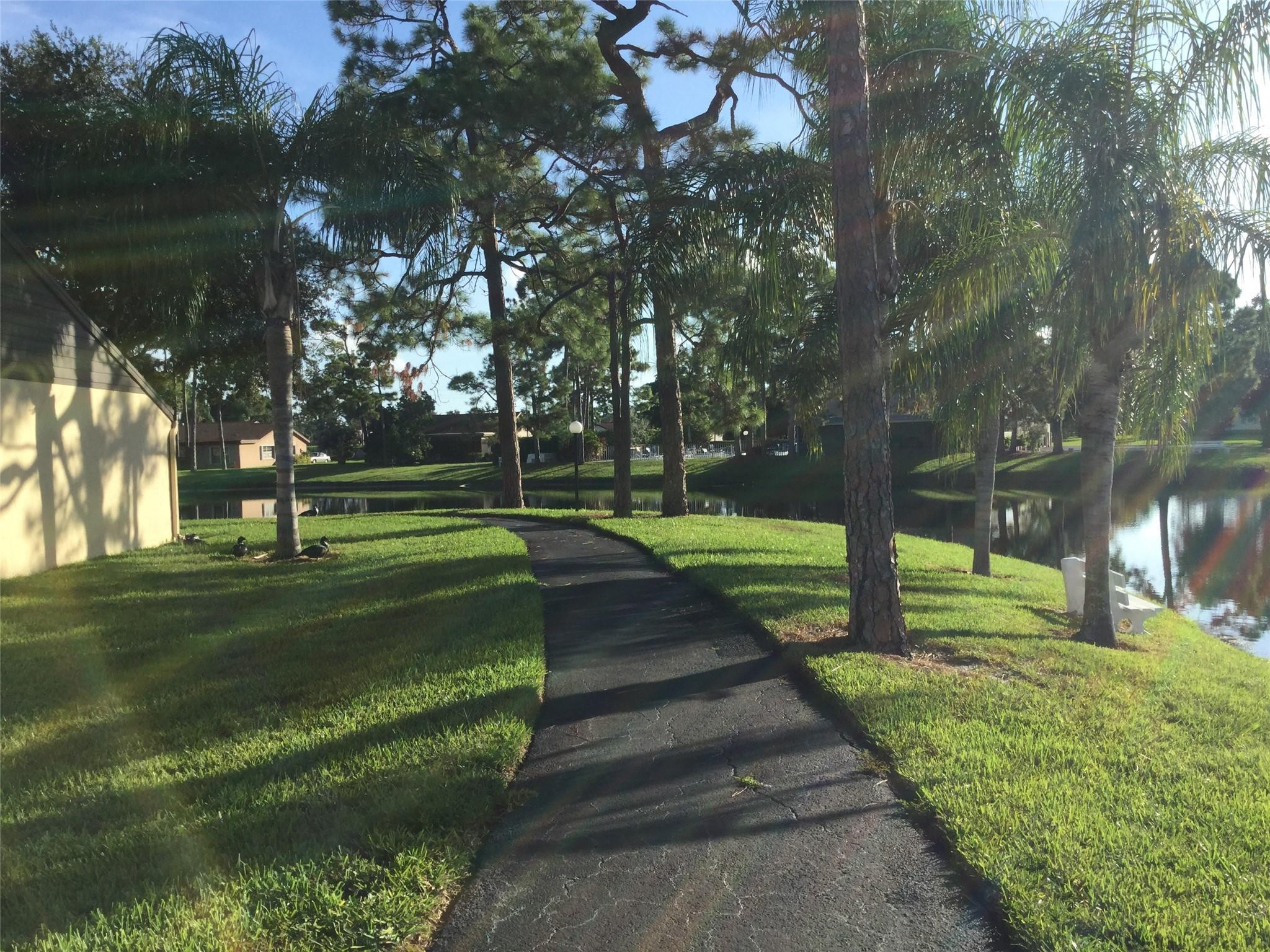 PINE RIDGE SOUTH IV CONDO - Residential