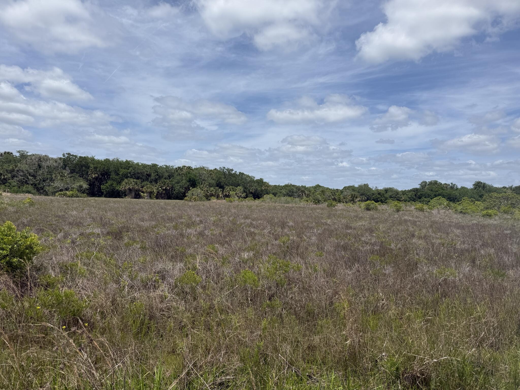 Discover your slice of country living with this 1.25-acre vacant lot located in Okeechobee. Nestled in a quiet, rural setting, this property offers the perfect opportunity to create your own private getaway. Zoned for residential/agricultural use, allowing for flexibility including animals and outdoor living. No HOA and plenty of space to enjoy peace, privacy, and wide-open skies. Conveniently located just off main access roads while still offering a secluded feel. Buyer to perform their own due diligence regarding zoning, land use, and utilities.