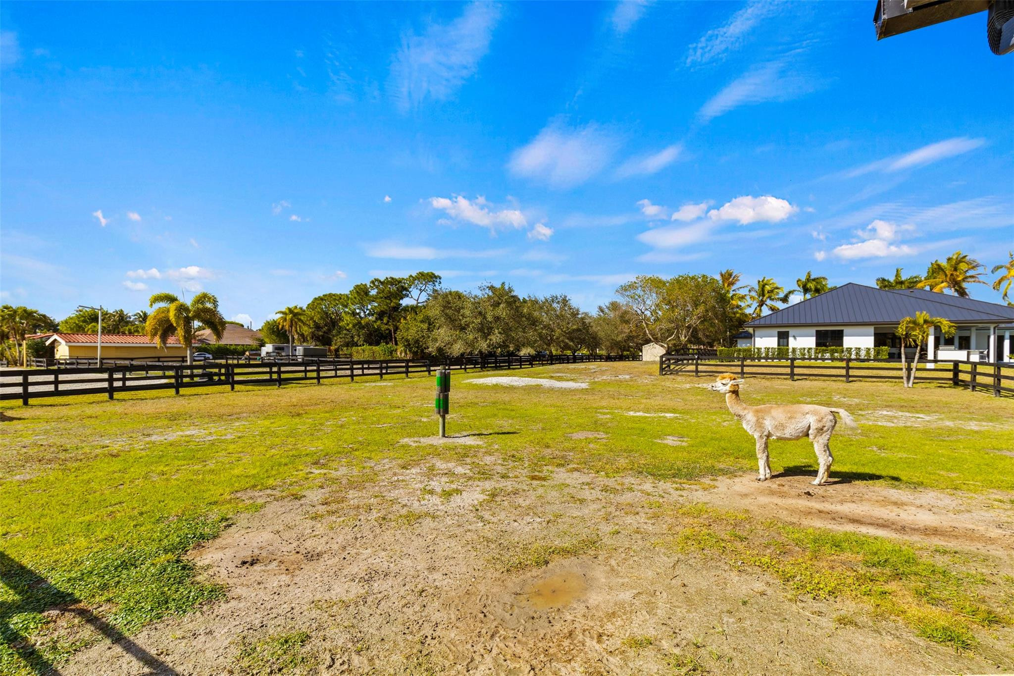 PADDOCK PARK 2 OF WELLINGTON - Residential