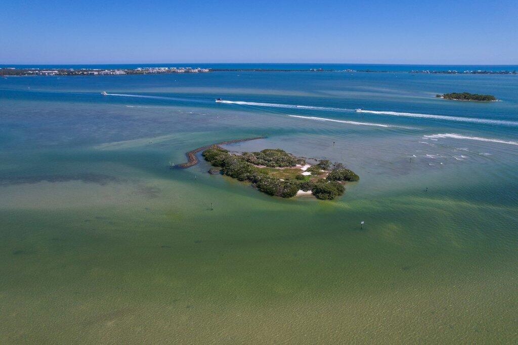 Sewalls Point - Residential
