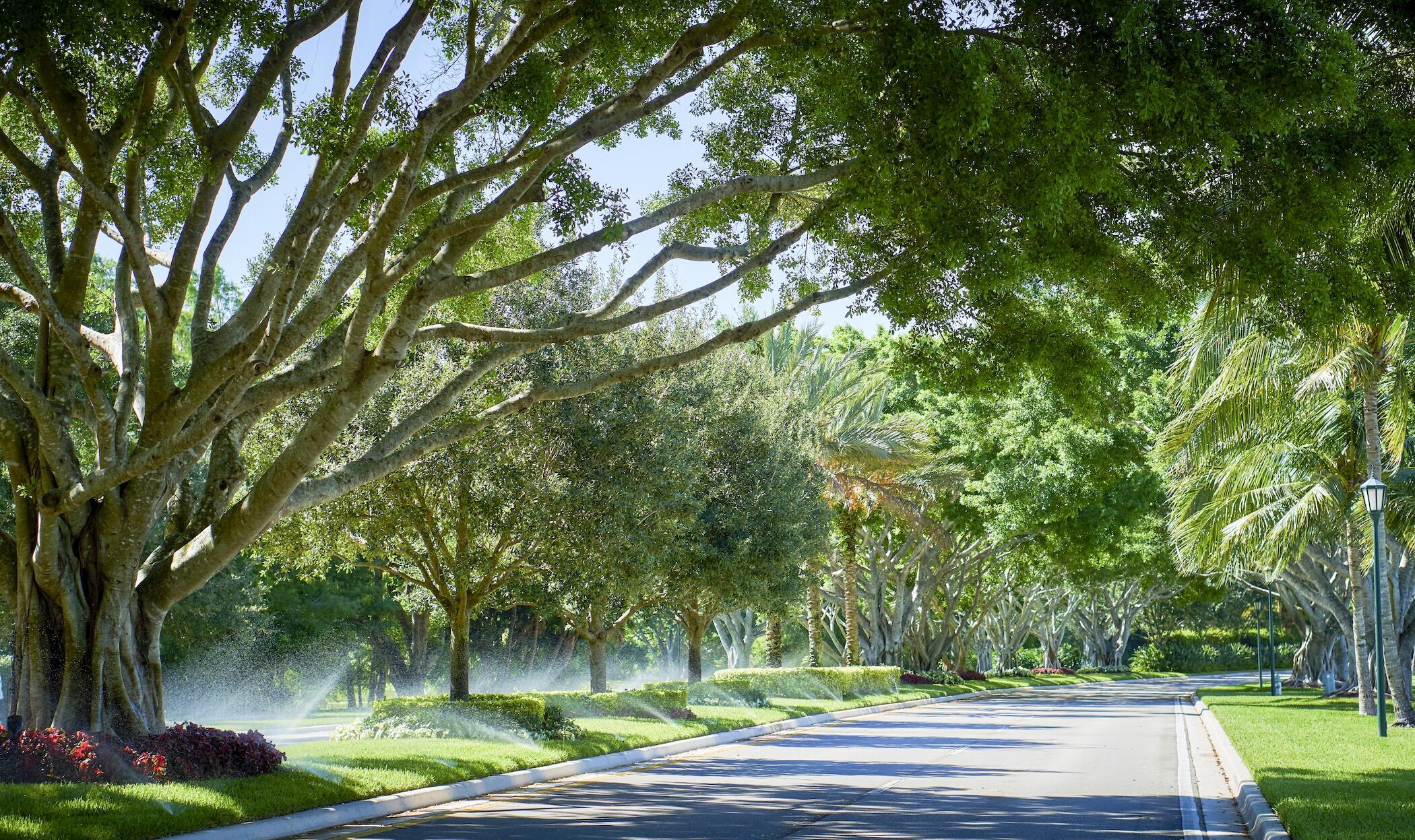 IBIS GOLF AND COUNTRY CLUB - Residential