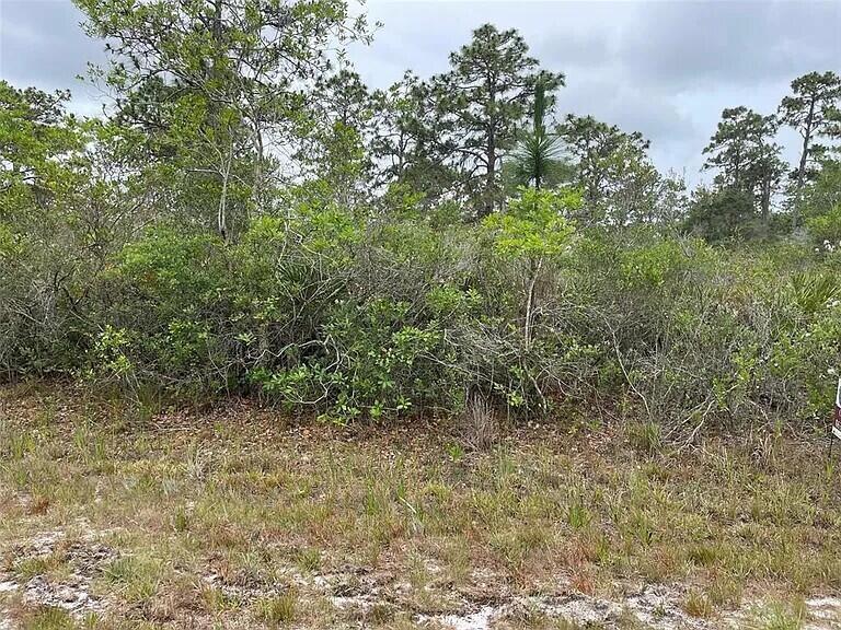 INDIAN LAKE ESTATES UNIT 01 - Land
