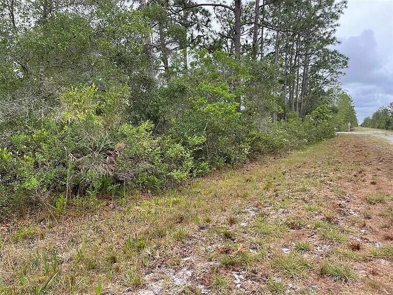 Build your dream home on this ½-acre wooded lot in the gated community of Indian Lake Estates. Enjoy access to an 18-hole golf course with clubhouse, restaurant, pro shop, fitness center, and tennis, basketball, and more. Located near Lake Weohyakapka, a 7,500-acre lake known for fishing, featuring Florida's largest freshwater pier, plus a boat ramp, slips, and lakeside pavilion. Community also offers a post office and places of worship, surrounded by natural wildlife. Conveniently located near Kissimmee State Park, River Ranch, and about an hour to Disney, Legoland, Busch Gardens, beaches, and major airports. Low annual HOA. Public records reflect the address as Bougainvillea Dr, while Google Maps shows Bougainville Dr both reference the same location. Buyer to verify all information.