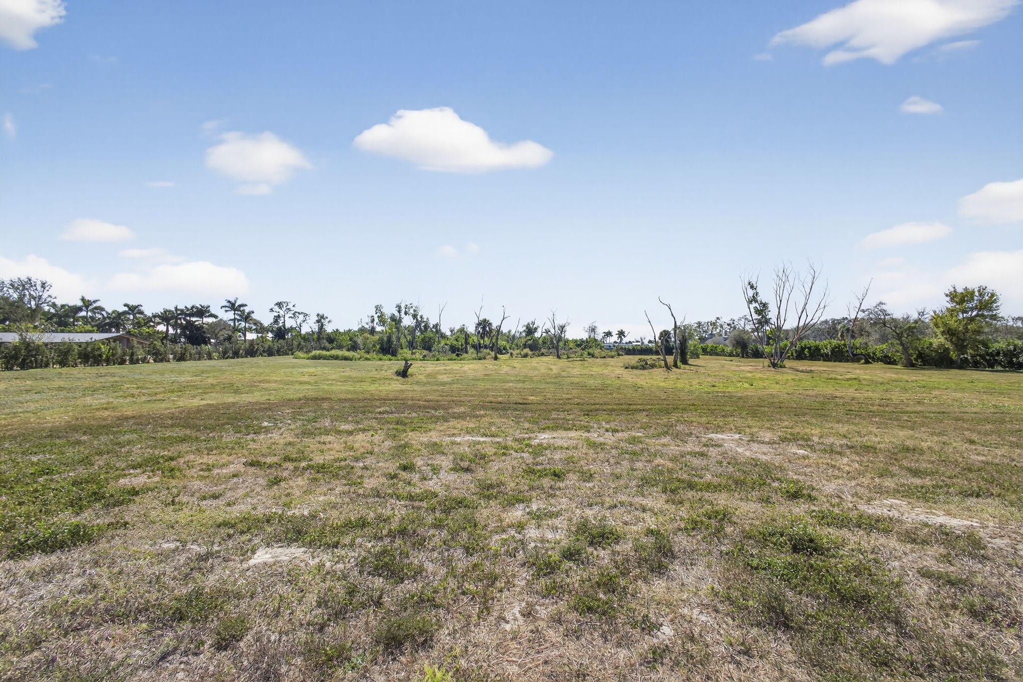Rustic Ranches - Land