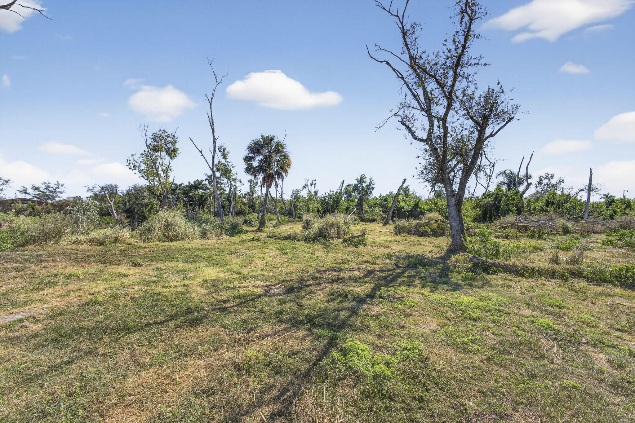 Rustic Ranches - Land