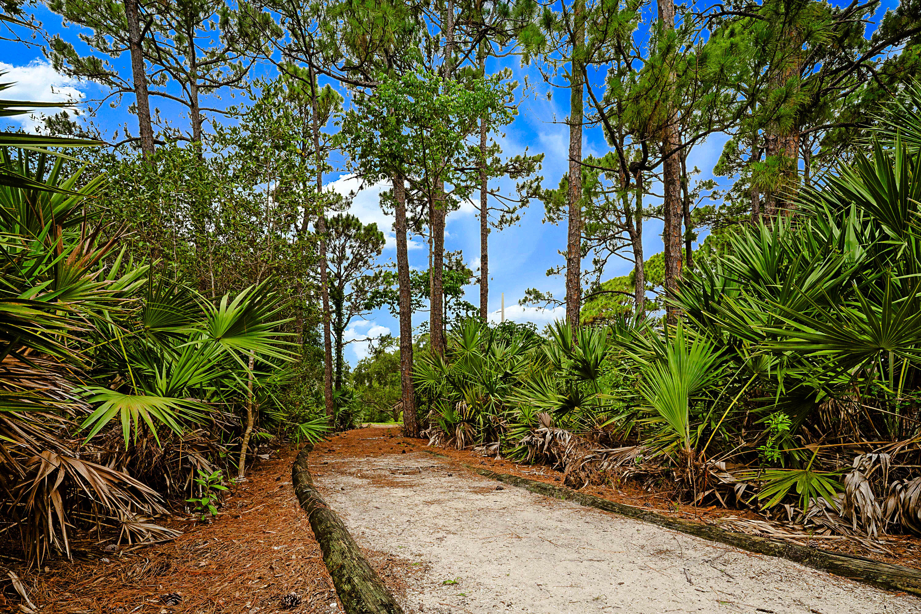 SOMERSET AT ABACOA CONDO - Residential