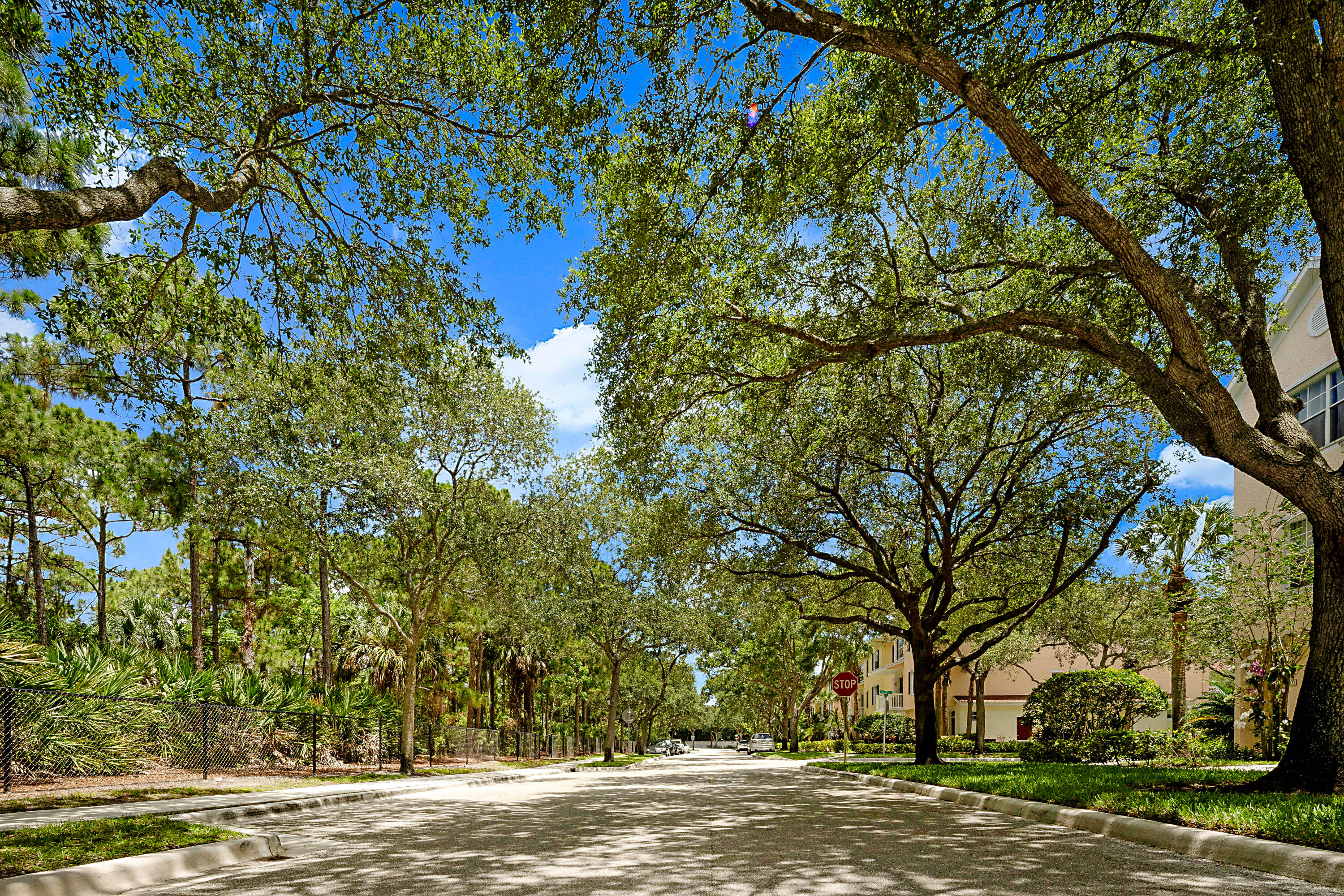 SOMERSET AT ABACOA CONDO - Residential