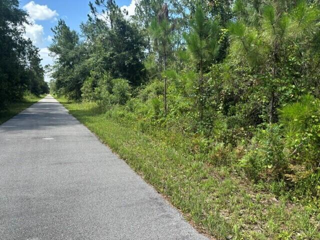 GS38 Green Swamp - Land