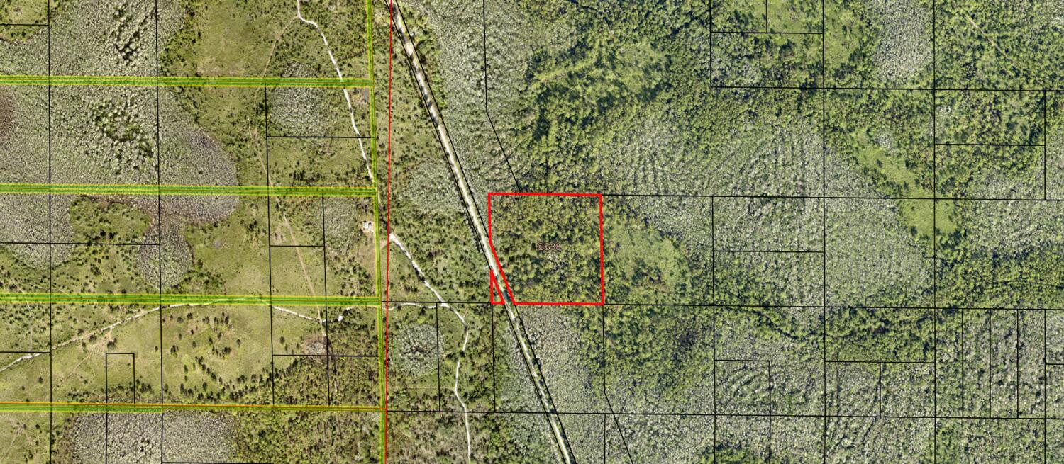 GS38 Green Swamp - Land