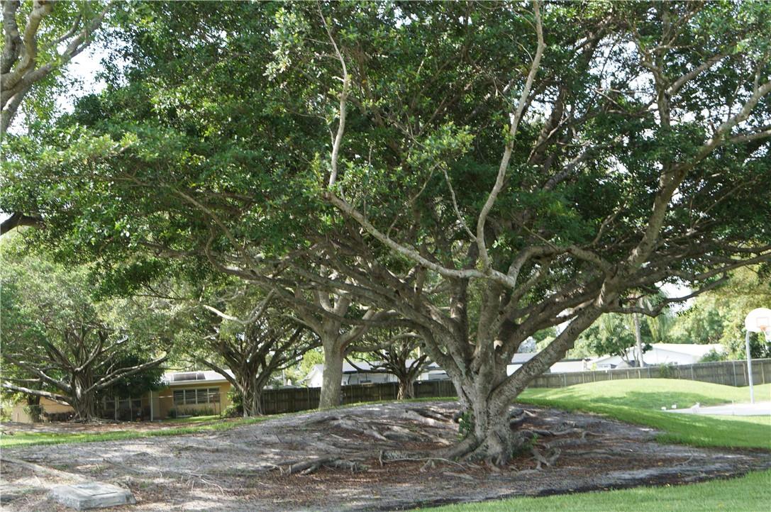 Pembroke Lakes Sec 1 76-4 - Residential