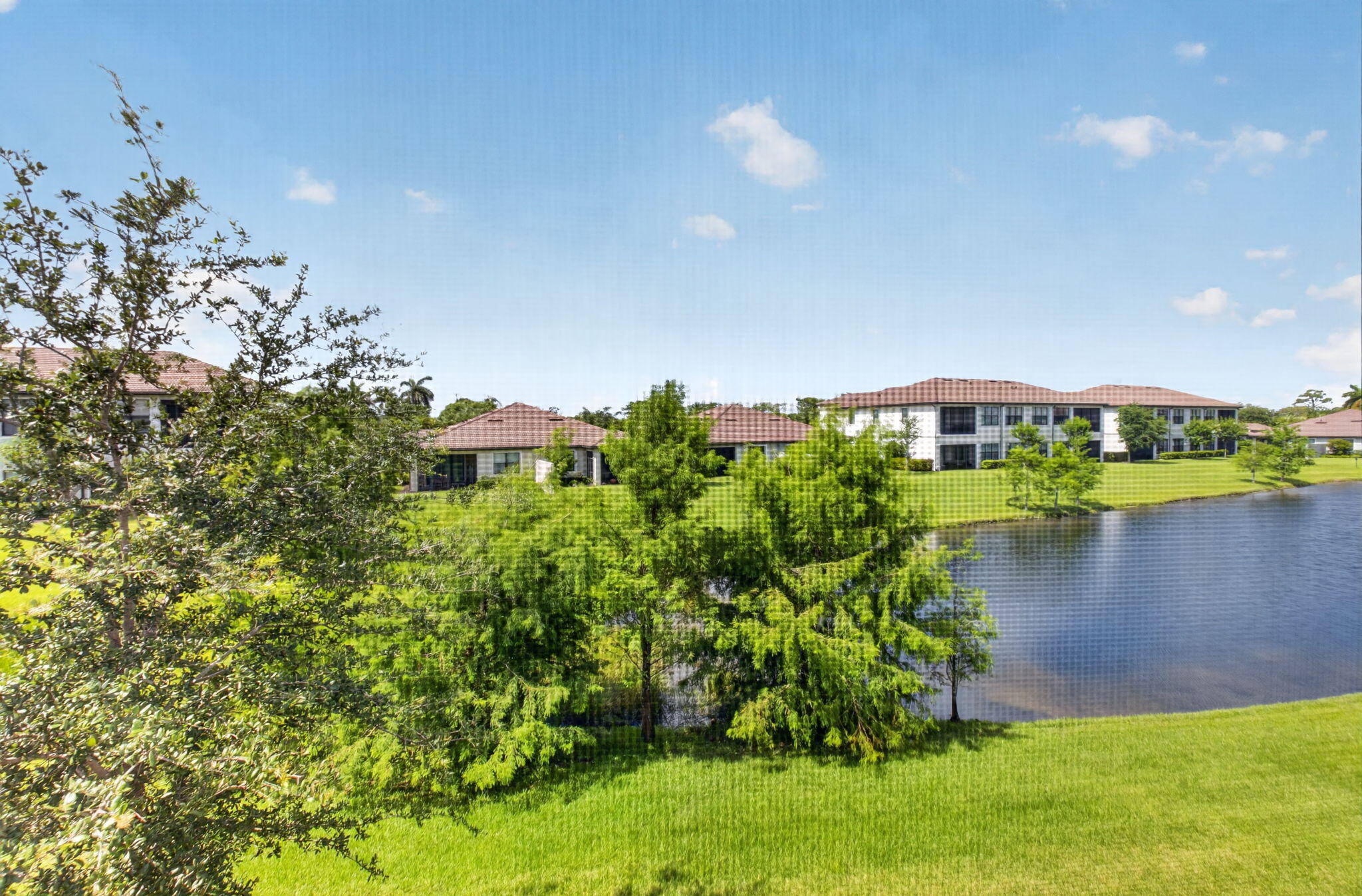 Boca Flores - Residential