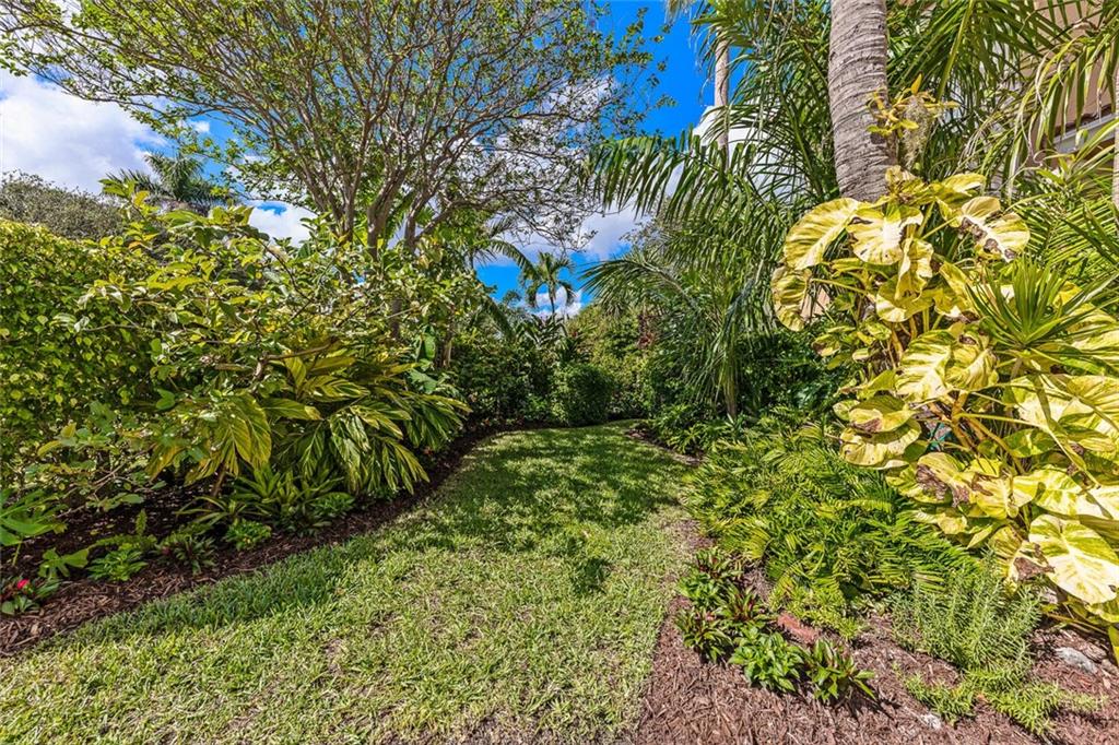 CONDO ON BANYAN 1 - Residential