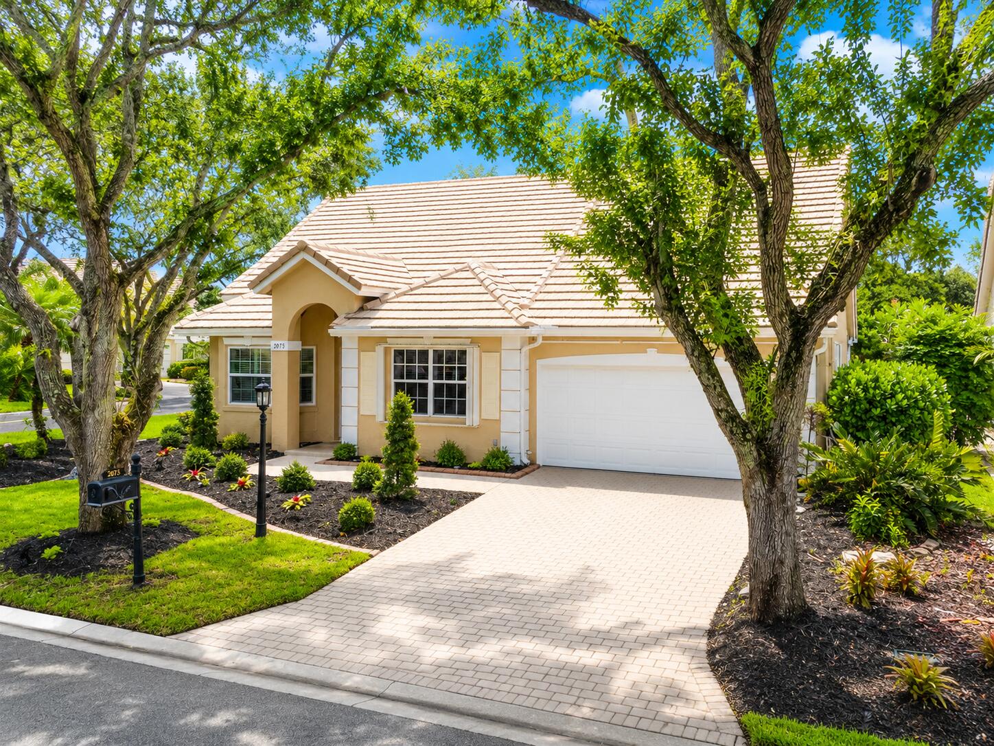 Georgetown At Eagle Trace - Residential