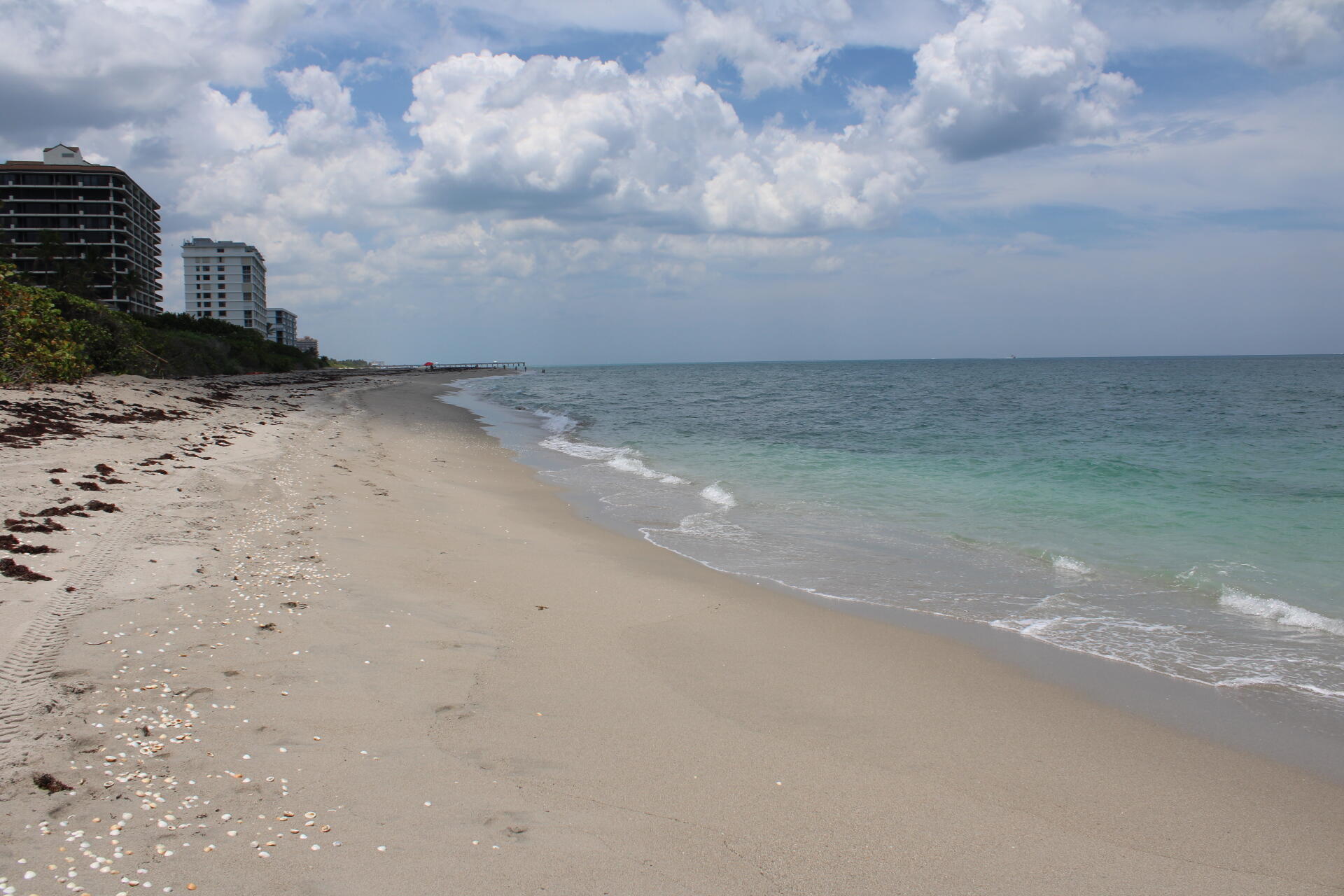 JUNO BY THE SEA CONDO APTS - Residential Lease
