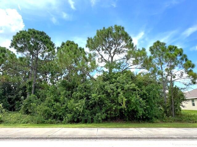 PORT ST LUCIE SECTION  34 - Land