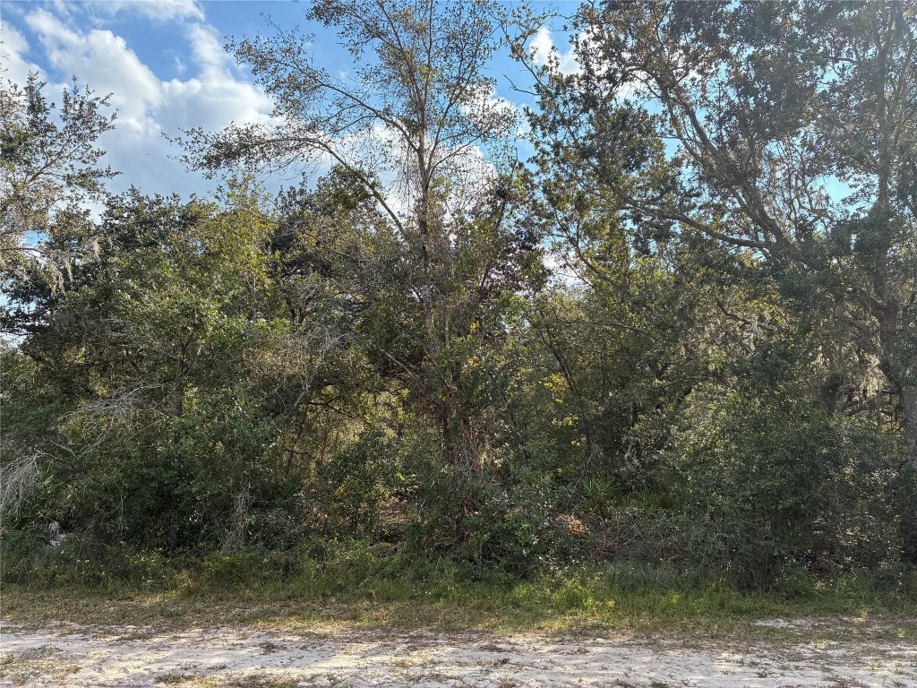 Indian Lake Estates - Land