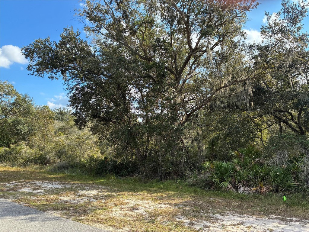 Indian Lake Estates - Land