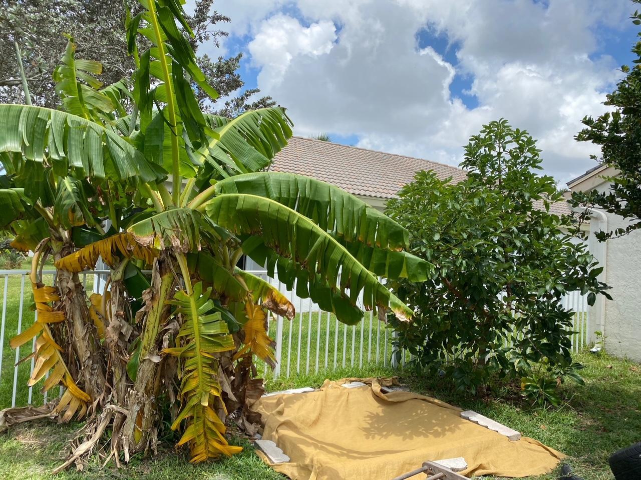 SABAL LAKES PH 3 - Residential Lease