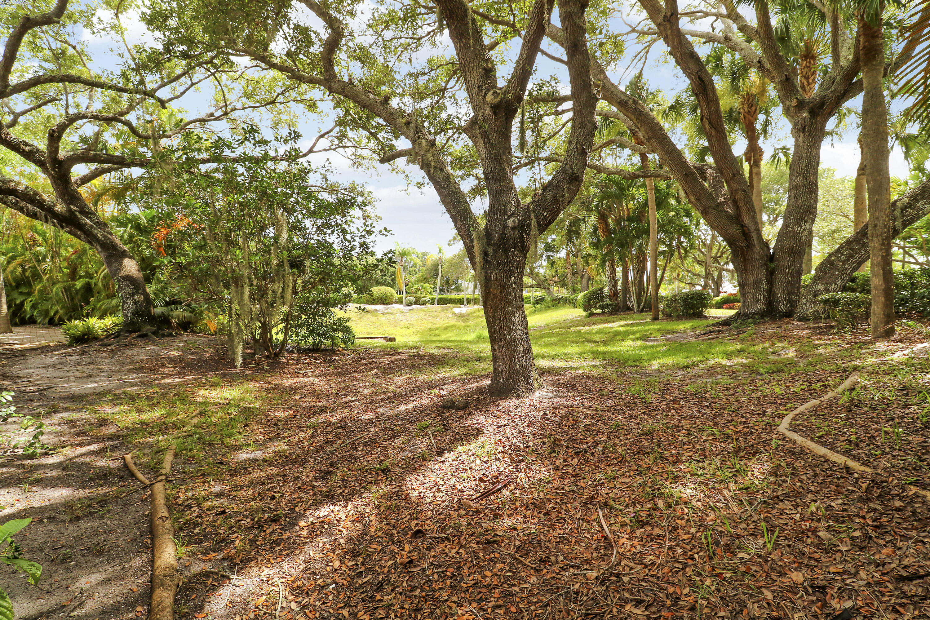 SCHOONER OAKS CONDO - Residential