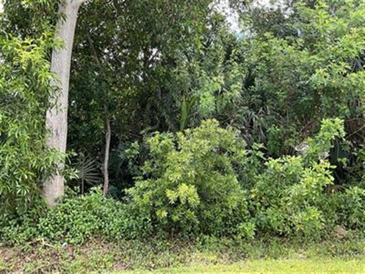 Beautiful oversized & Deep lot 14,374. East of US1. Build your dream home here! Close to Shopping, Hospital, Beaches. Newer built homes around. Lots of room for a pool!