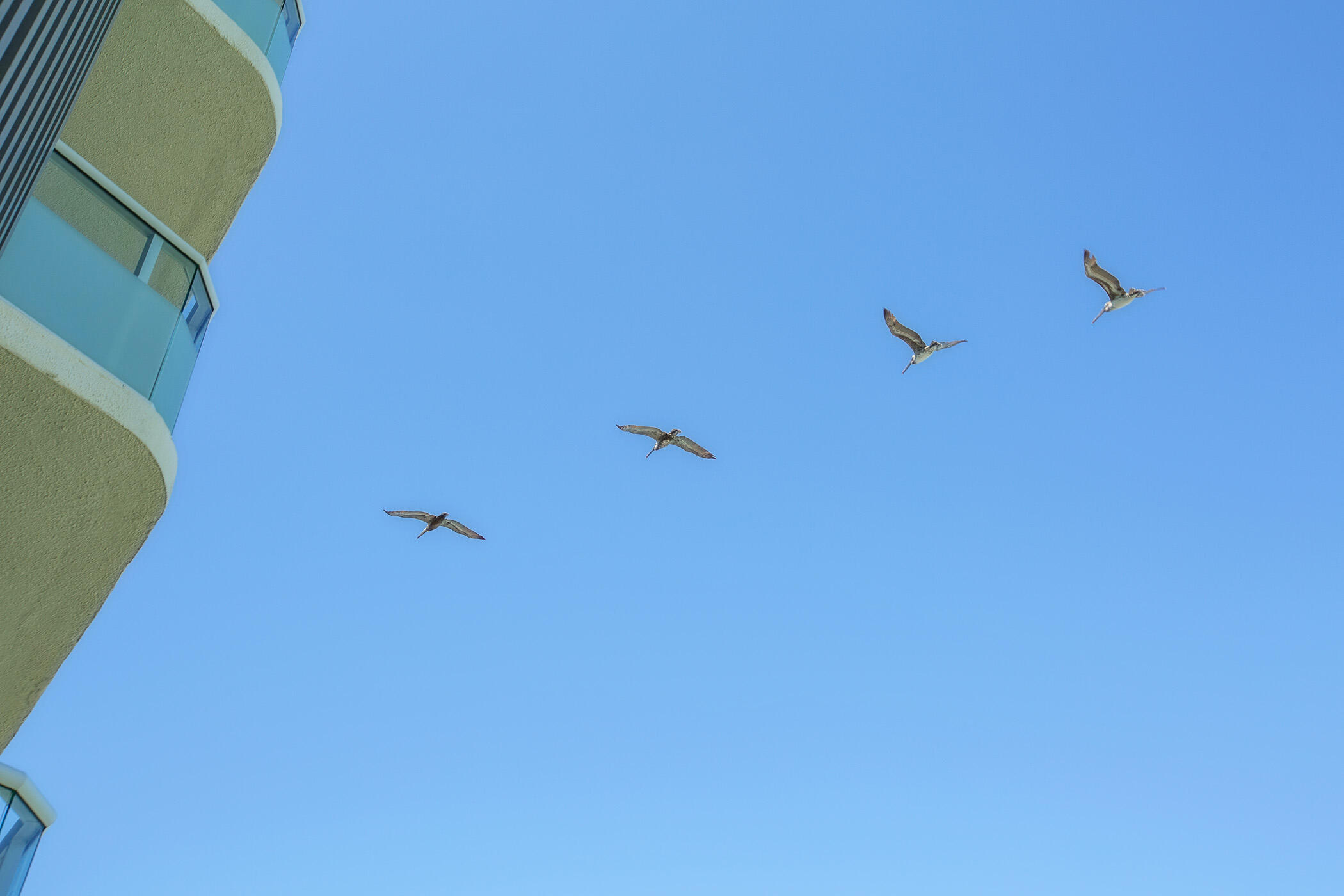 VILLAGE SPIRES DEVELOPMENT SITE - Residential
