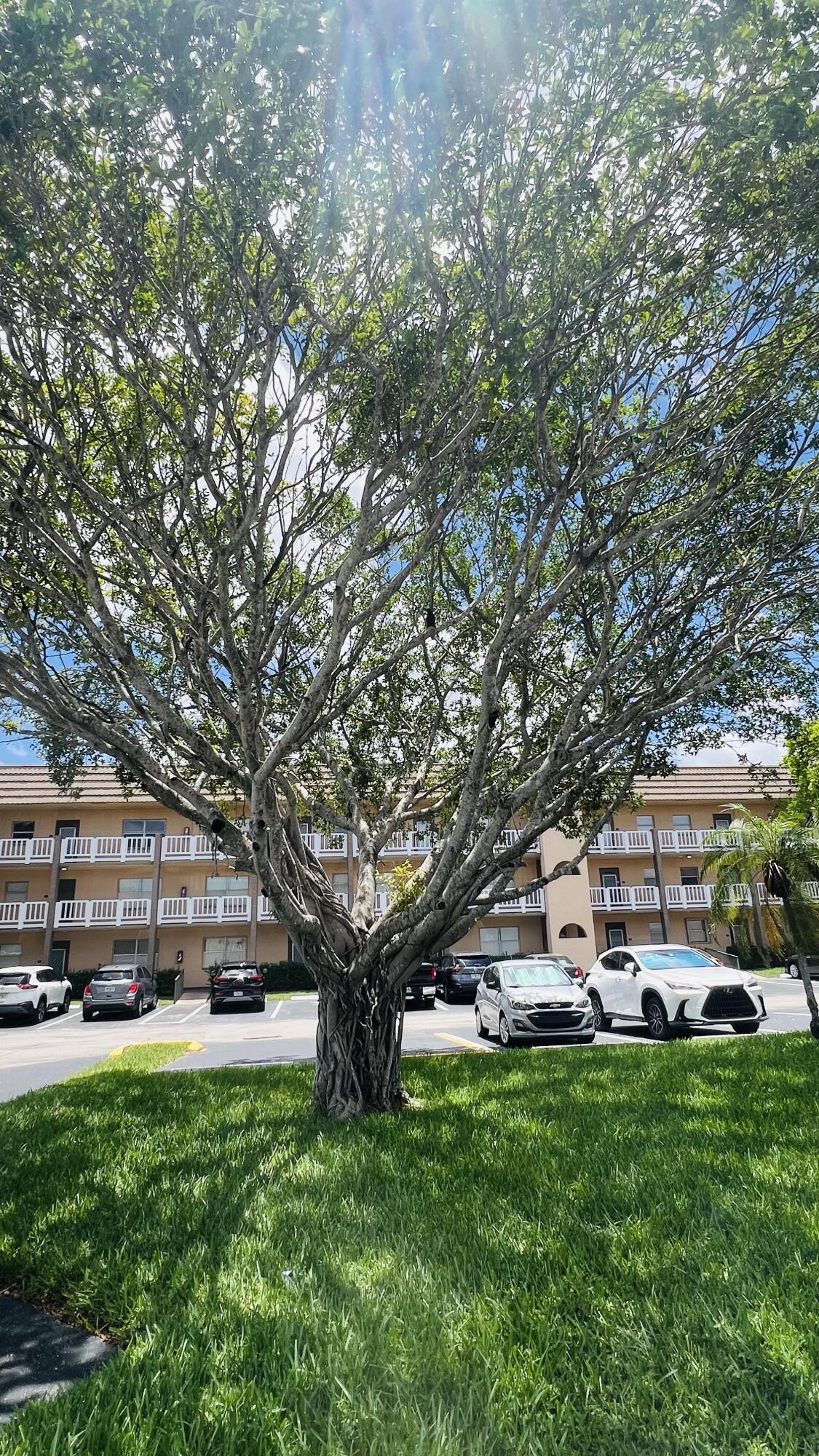 SUNRISE LAKES 100 CONDO - Residential