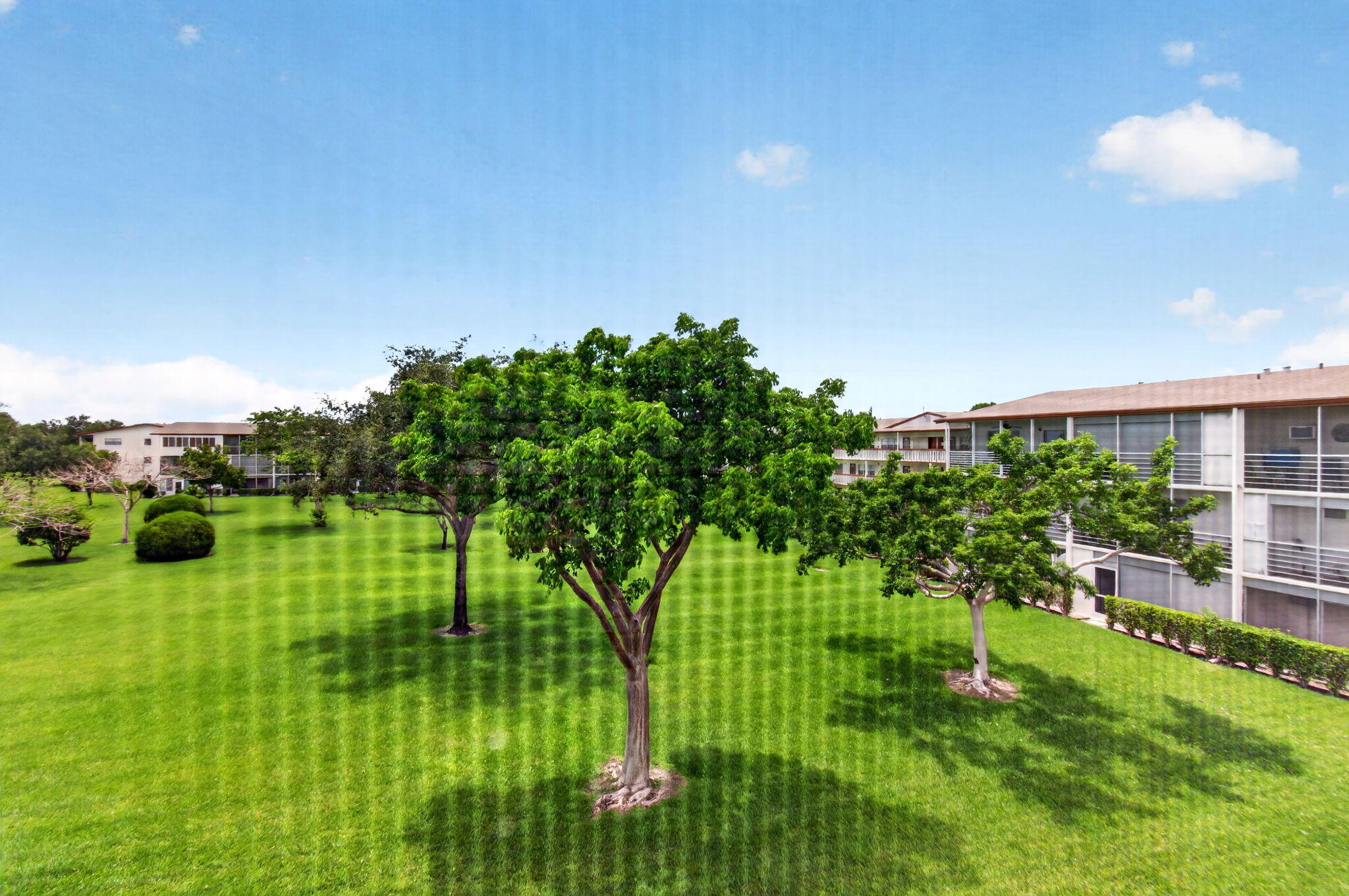 BRIGHTON AT CENTURY VILLAGE CONDO - Residential