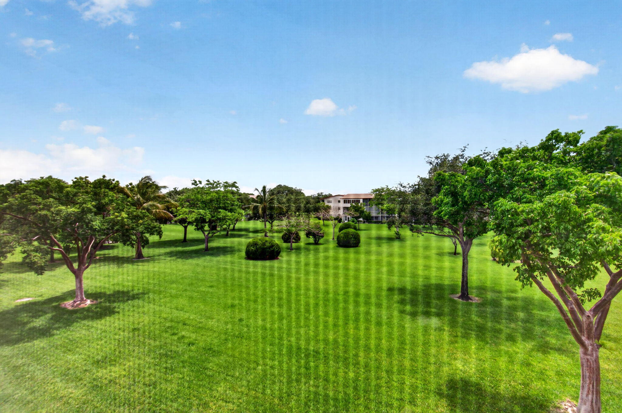 BRIGHTON AT CENTURY VILLAGE CONDO - Residential