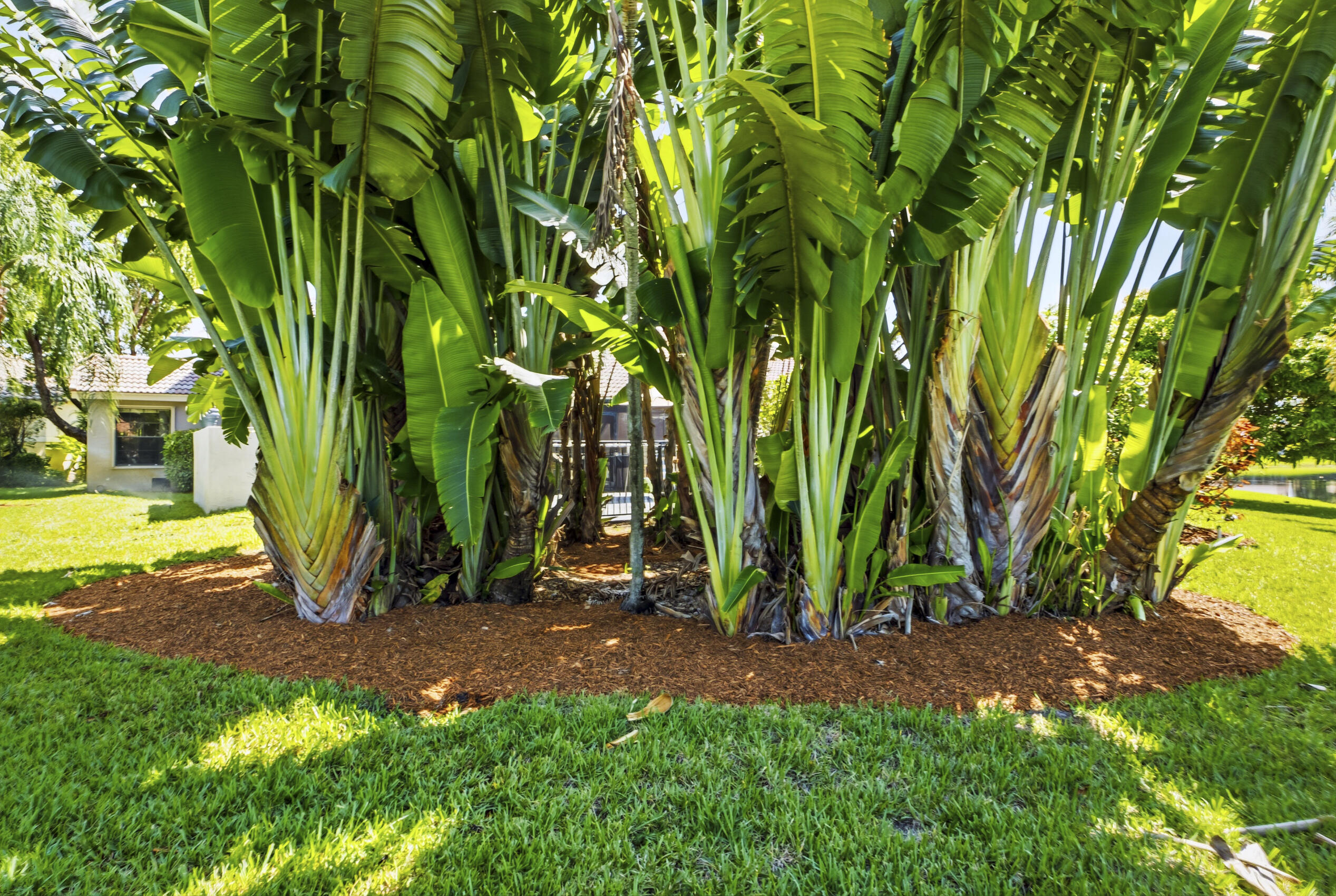 WEST GLEN - Residential