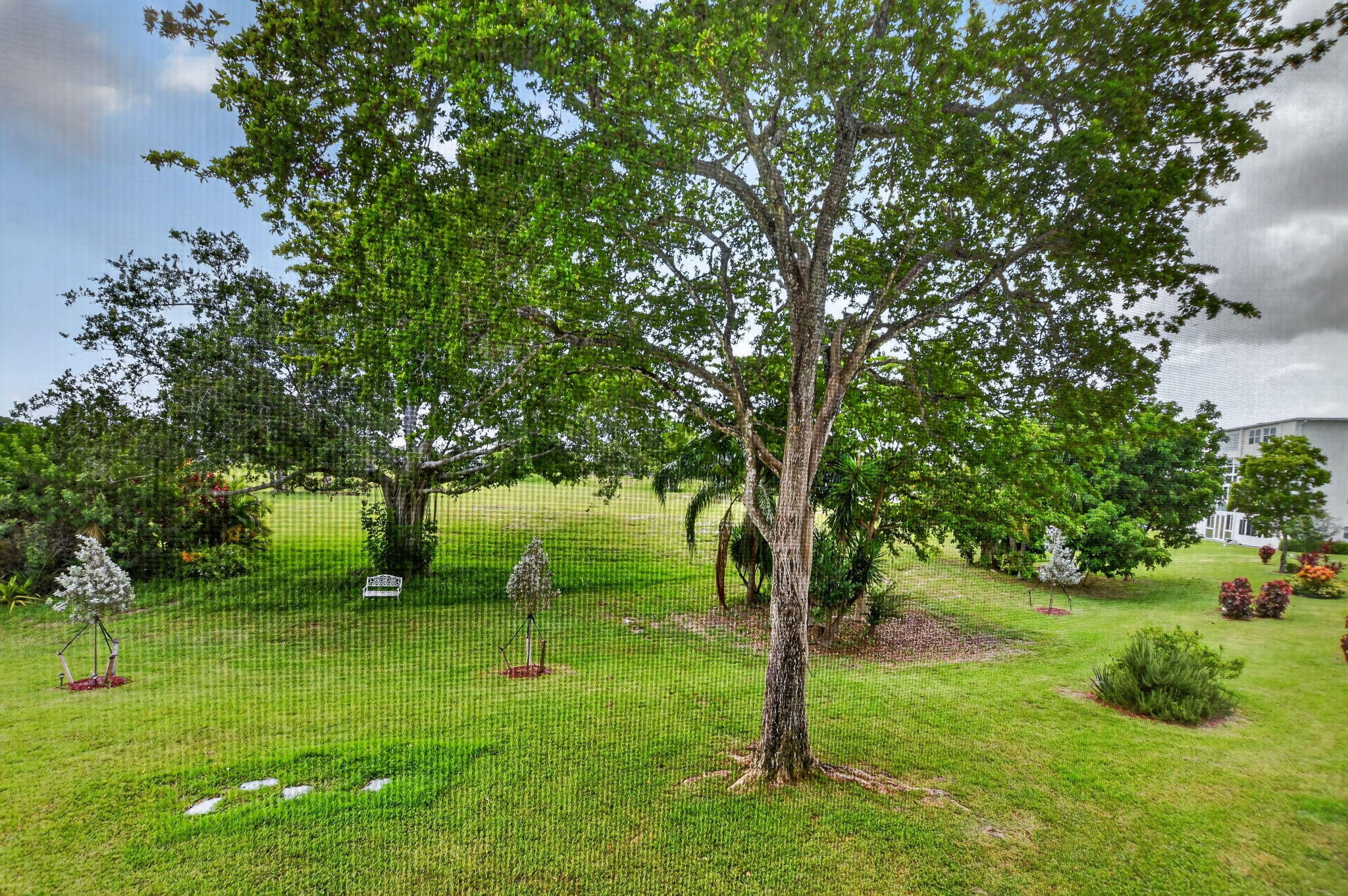VENTNOR O CONDO - Residential