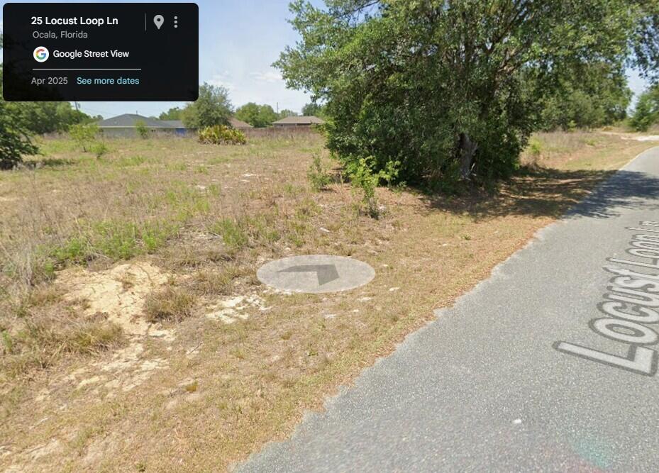Silver Springs Shores - Land