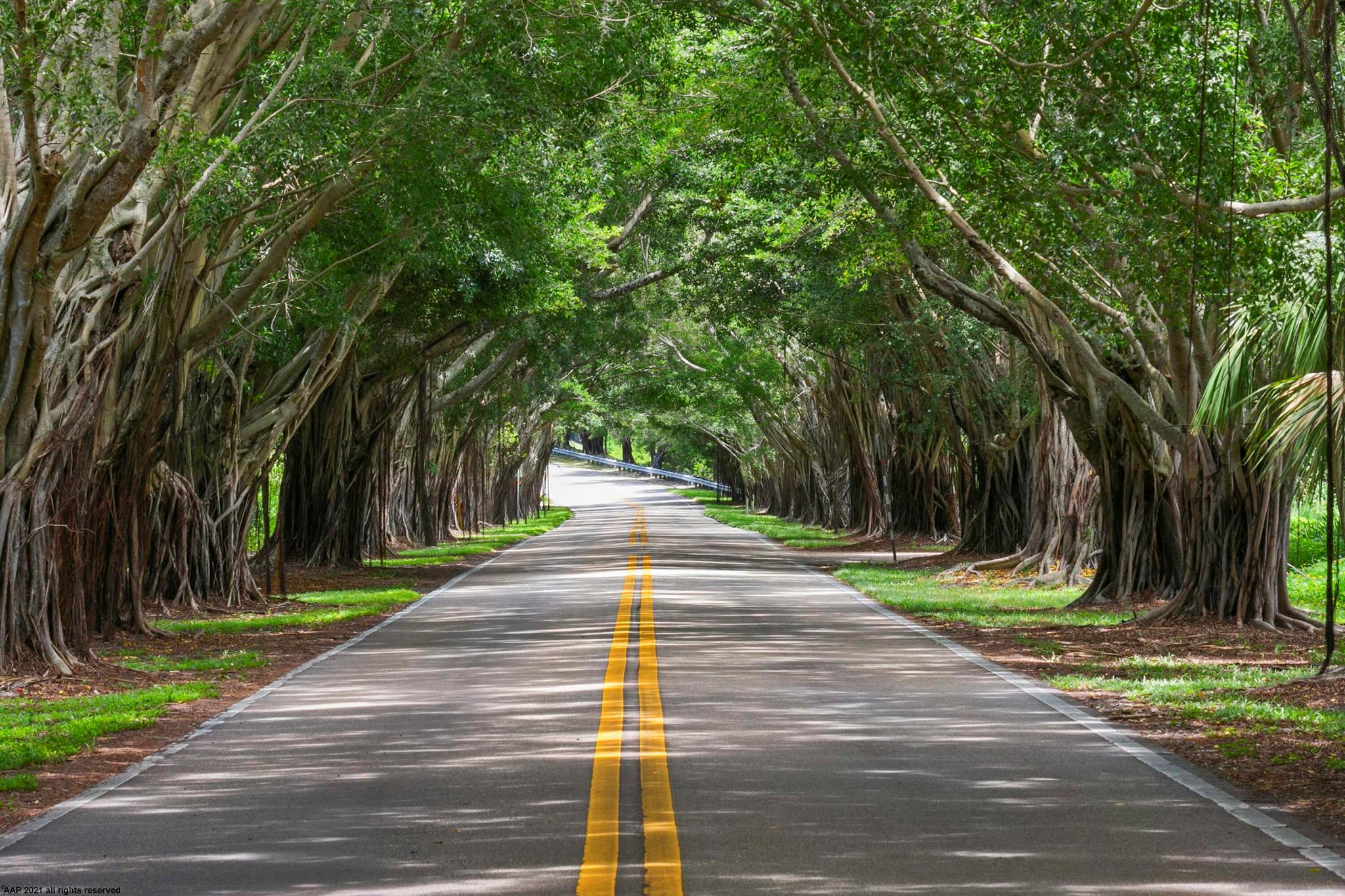 JUPITER ISLAND - Residential