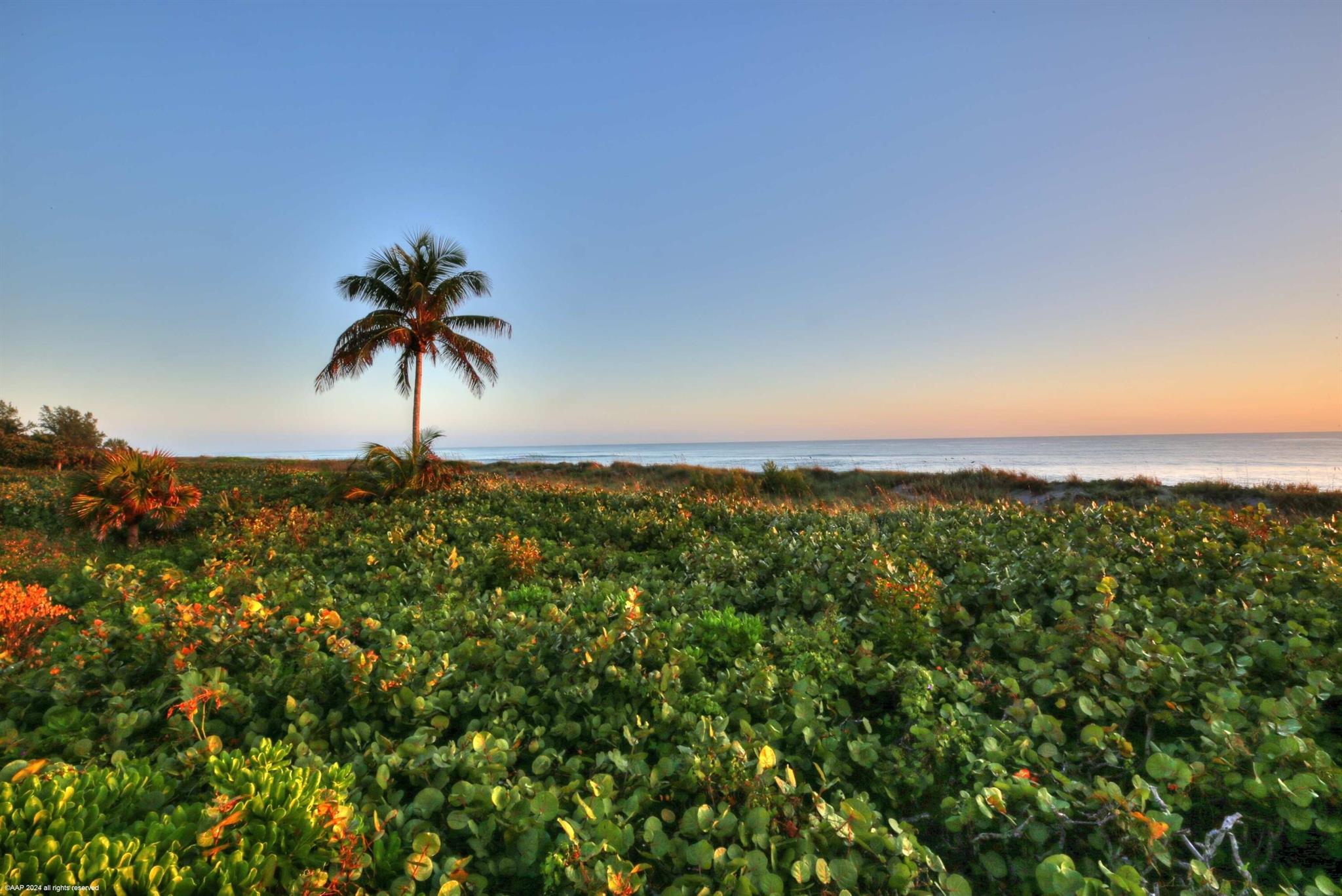 JUPITER ISLAND - Residential