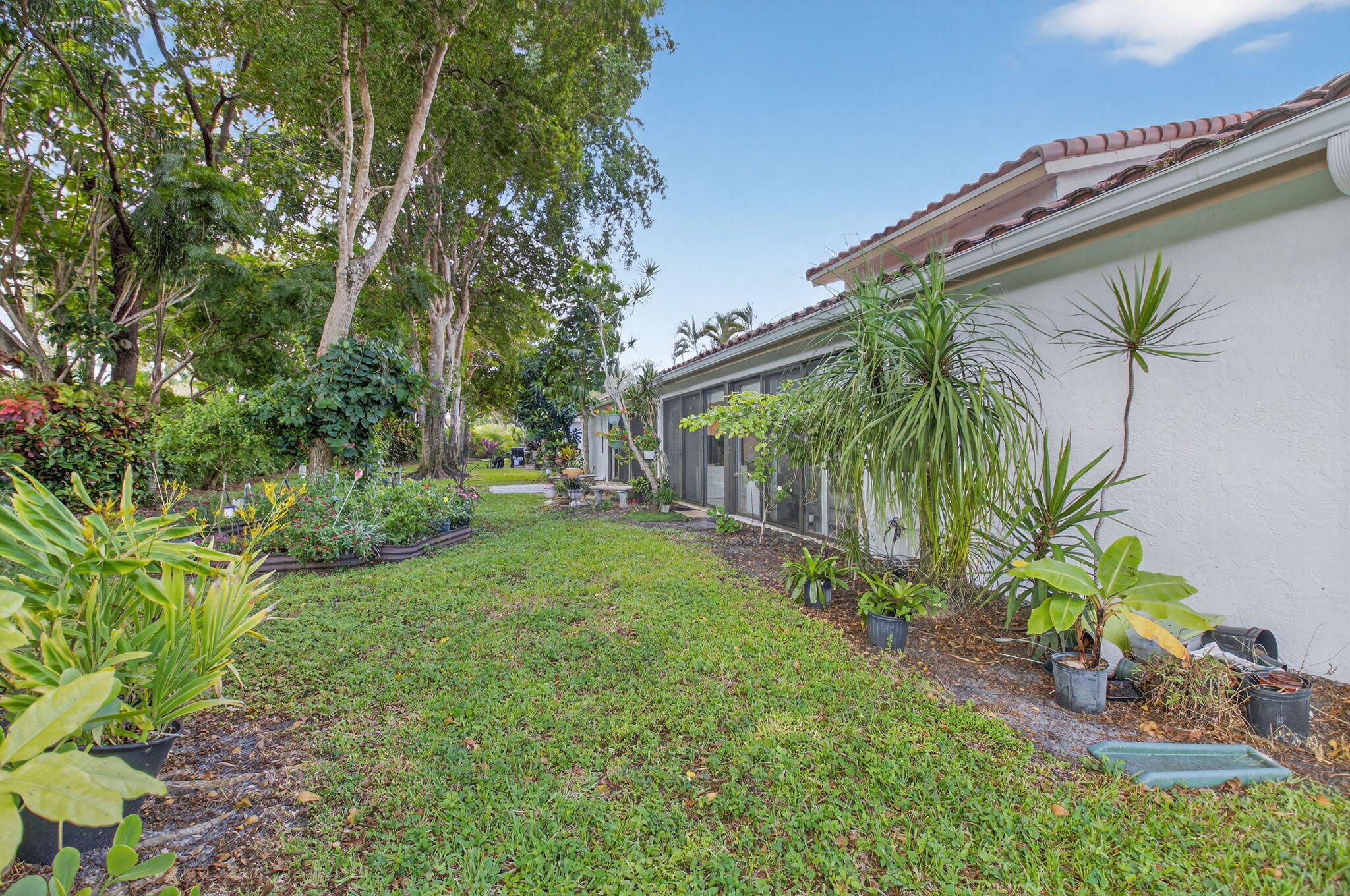 LADYPALM / WATERBERRY - Residential