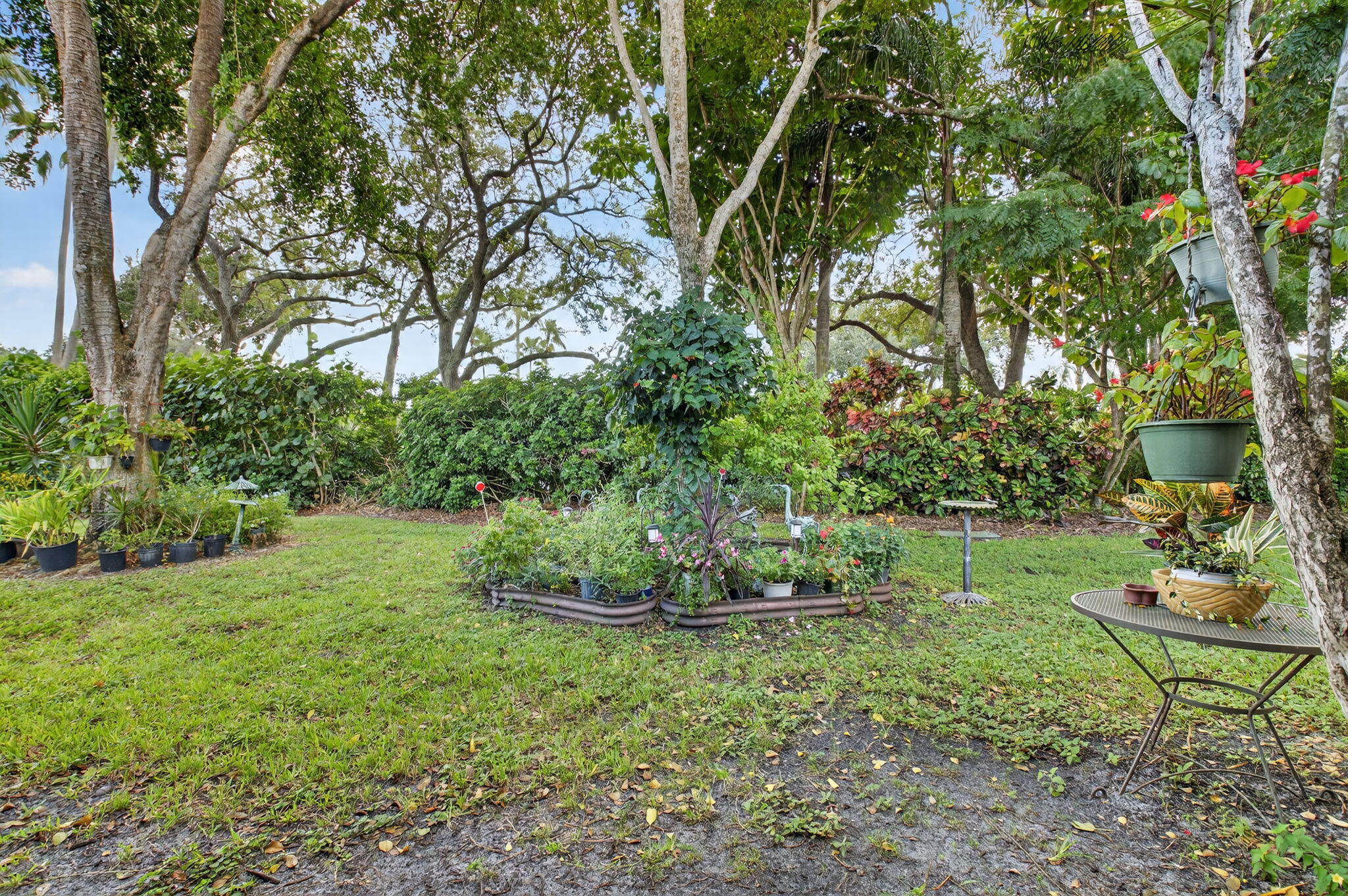 LADYPALM / WATERBERRY - Residential