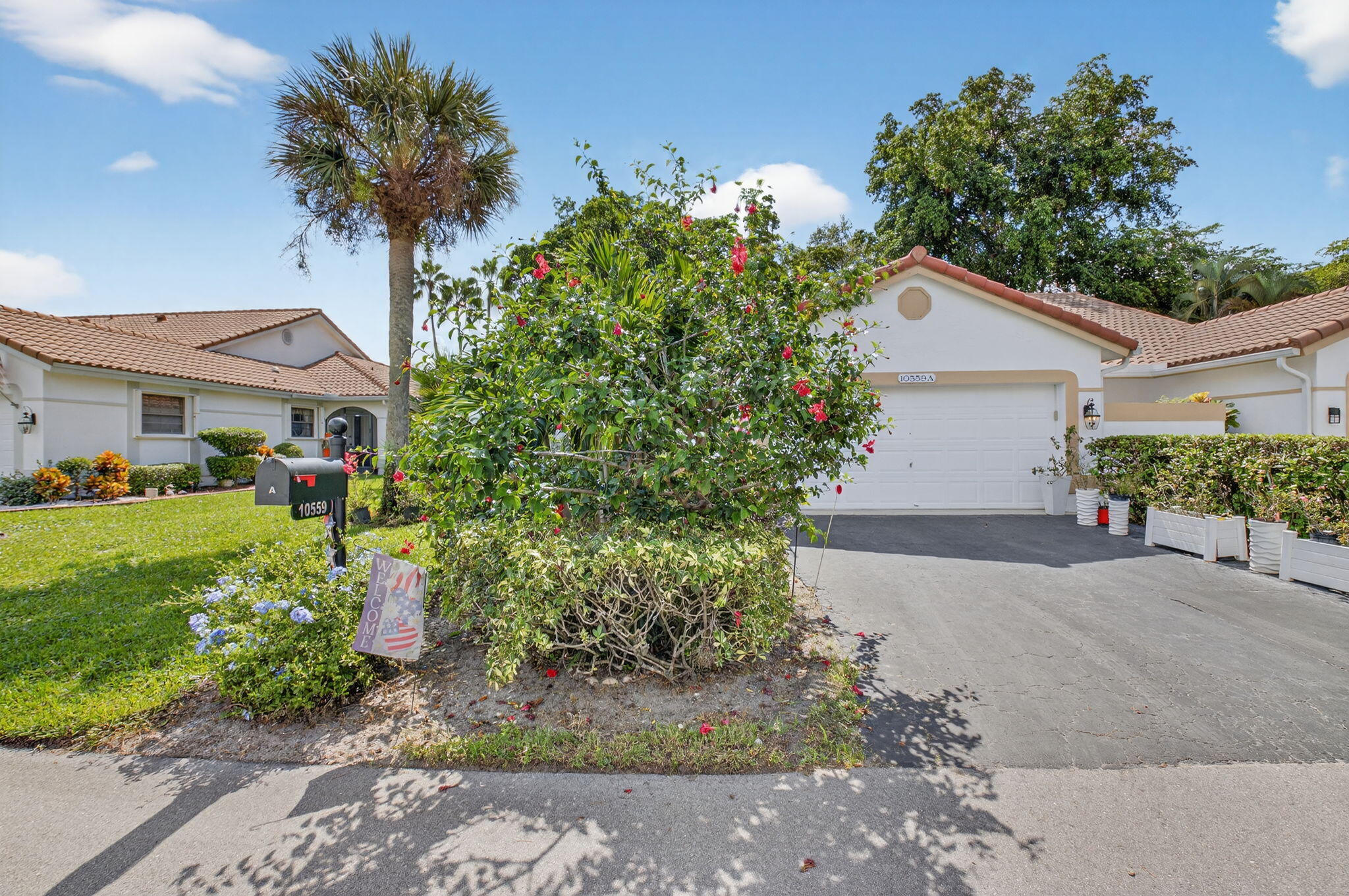 LADYPALM / WATERBERRY - Residential