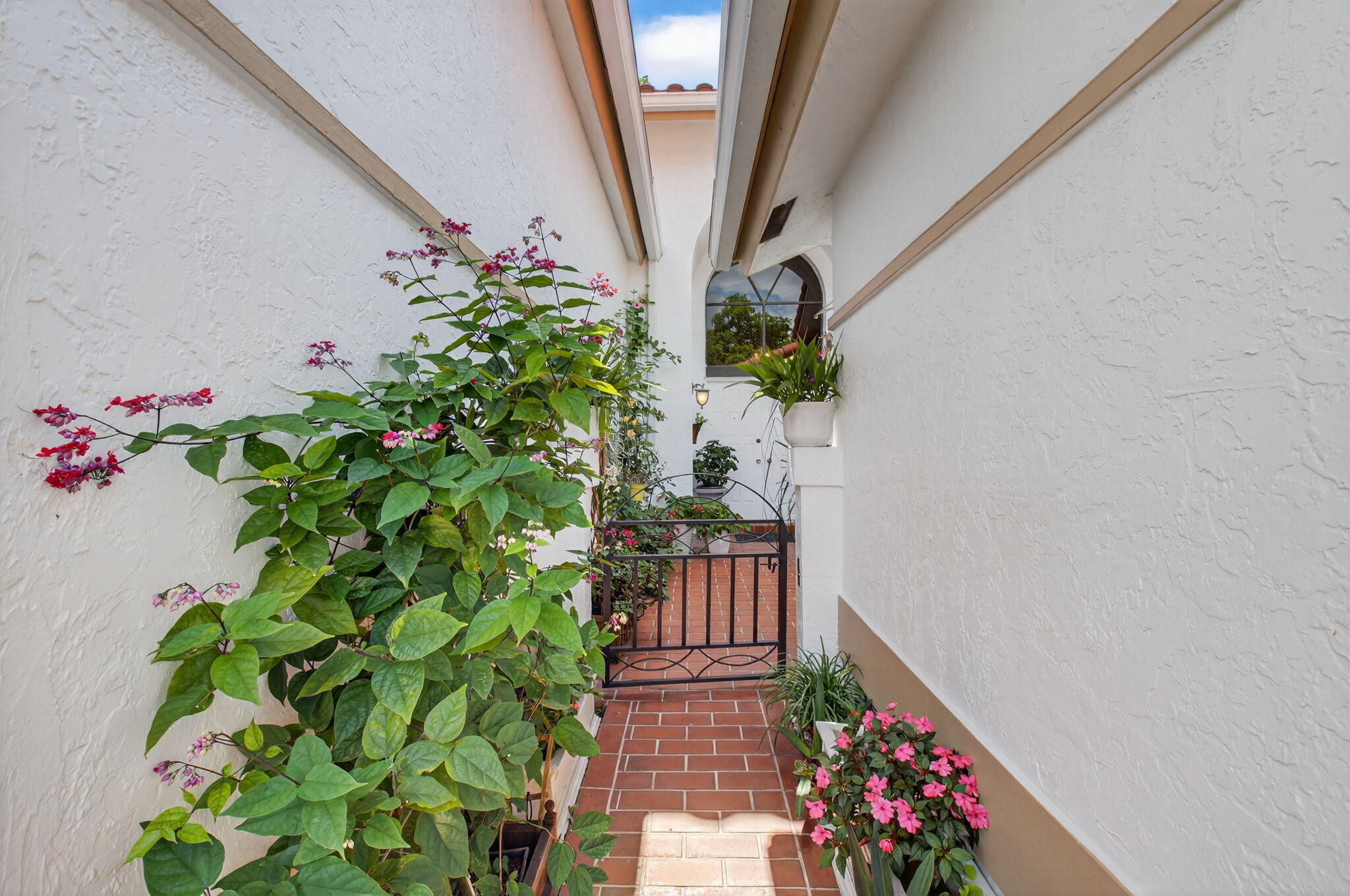 LADYPALM / WATERBERRY - Residential