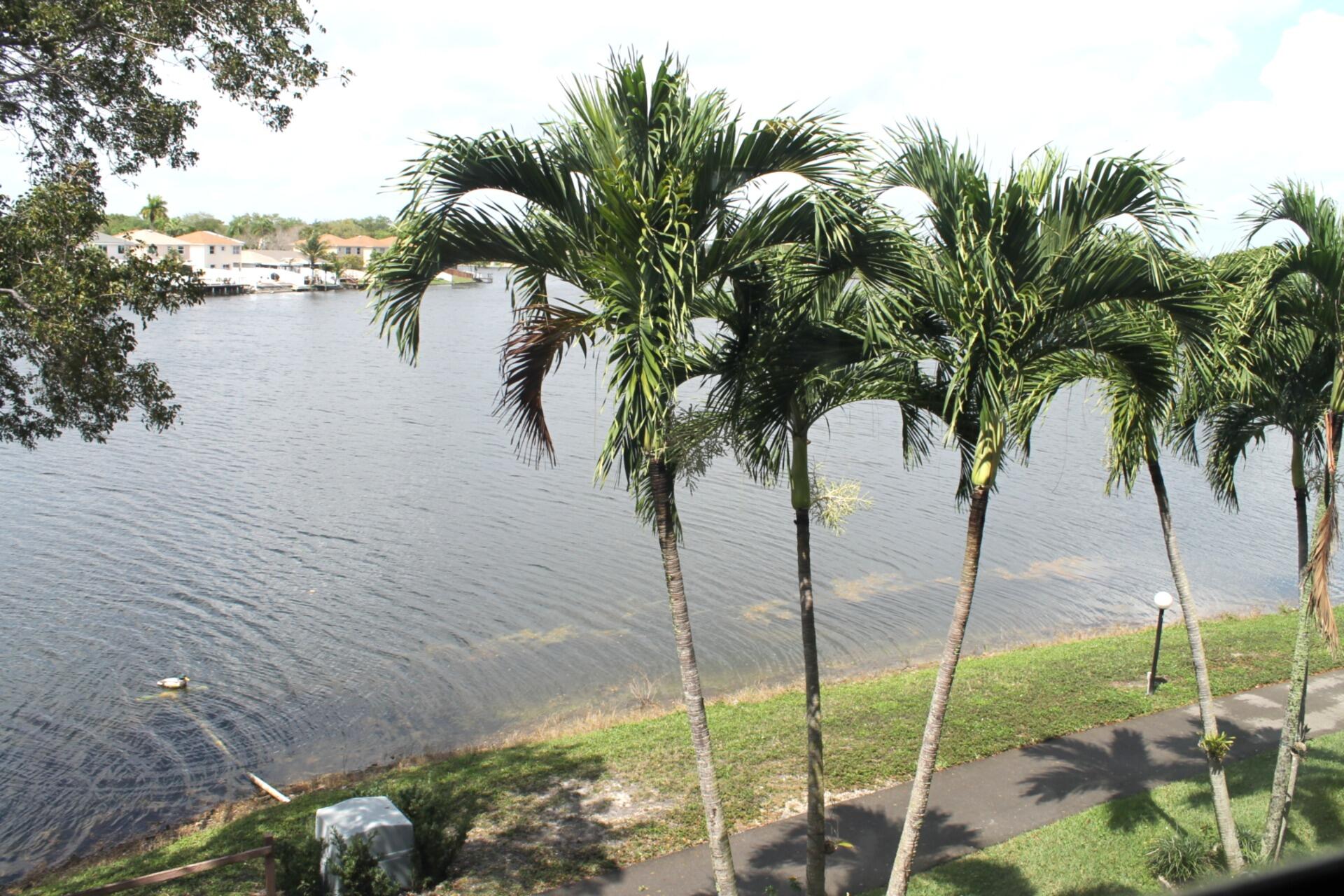 COLONY POINT 3 CONDO - Residential