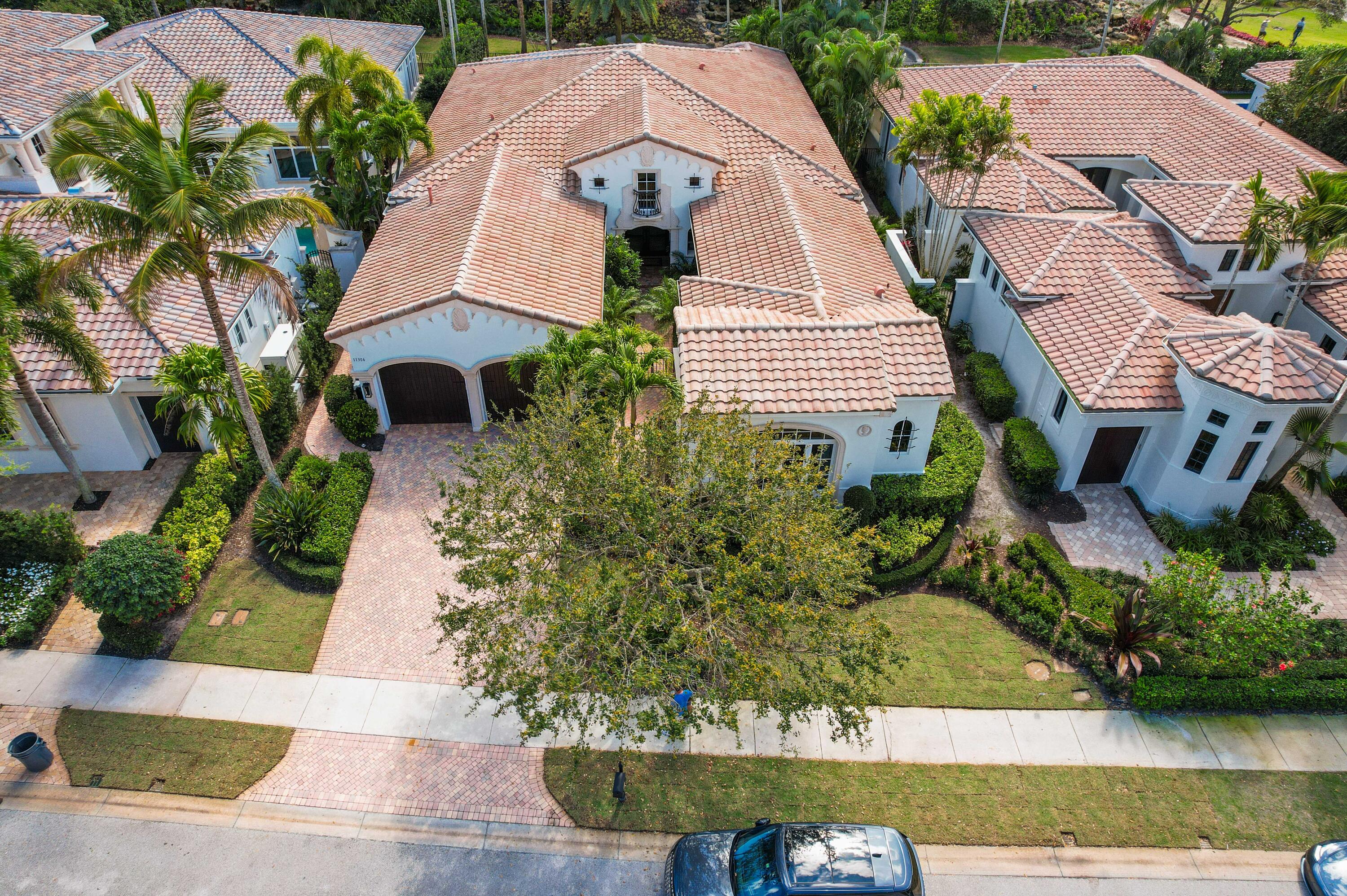 Old Palm - Residential