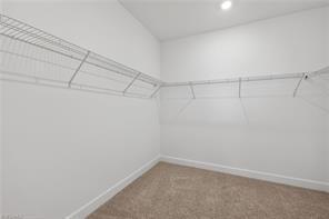 HAMPTON LAKES AT RIVER HALL - Residential