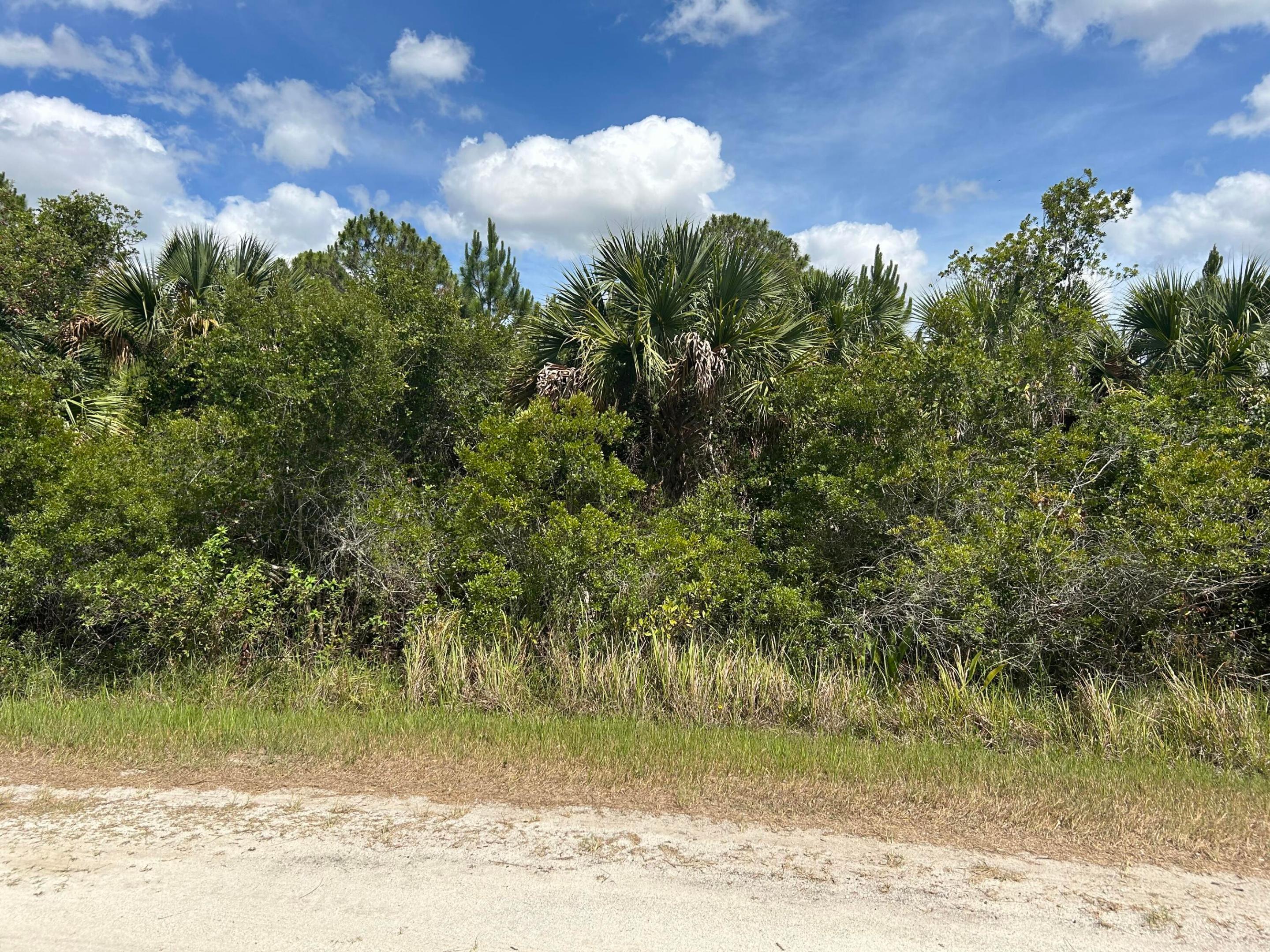 Build your dream home!!! This vastly growing area offers this .48-acre lot to build your dream home! the shape of the lot is unique and offers lots of space a pool, gardening, or just enjoy a large back yard. There are brand-new homes being built in the area. The lot is close to schools and downtown Bayside shops and restaurants. Get it today! it won't last.