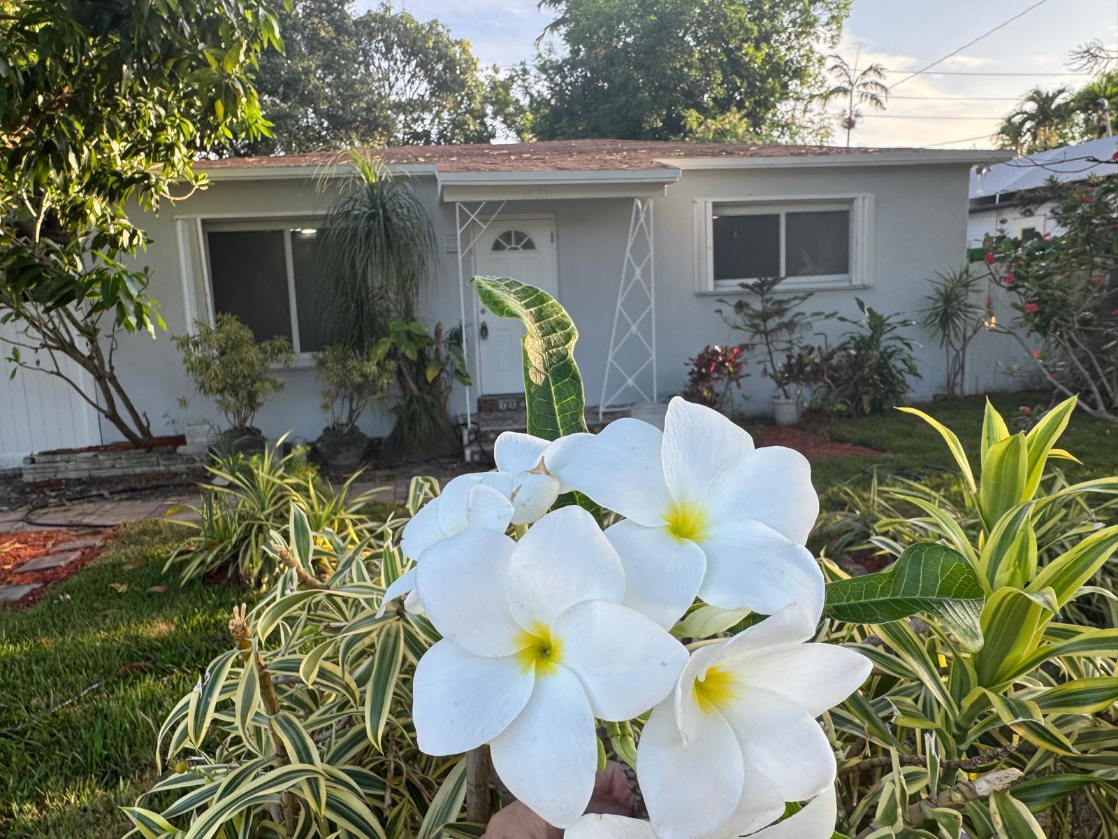 Beautiful clean and move in ready 2 bed room 1 bath with bonus room on large oversized lot. Available parking in front of the home and around back through alley access road. Perfect for truck, boat or RV. NO HOA!! Near beautiful beaches, Aventura Mall, fine dining and major road ways.