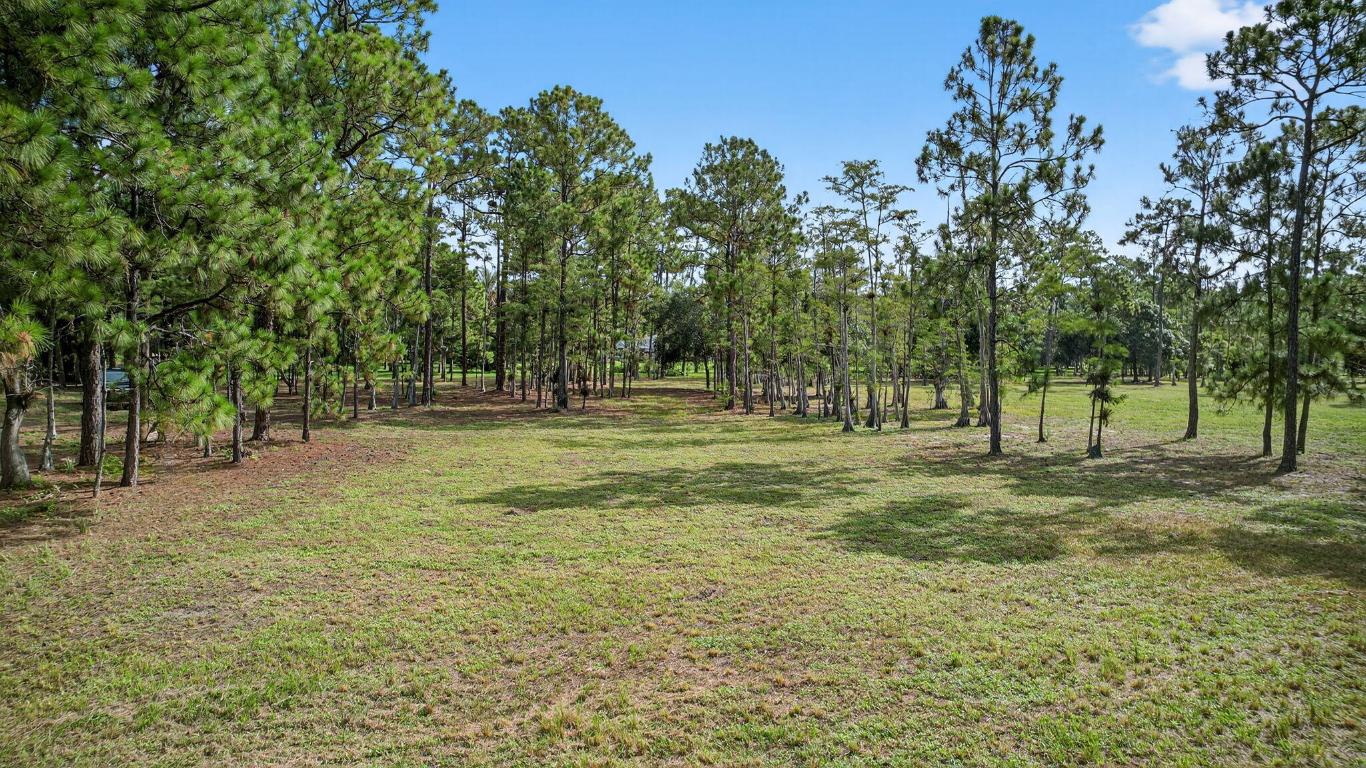 DEER RUN - Land